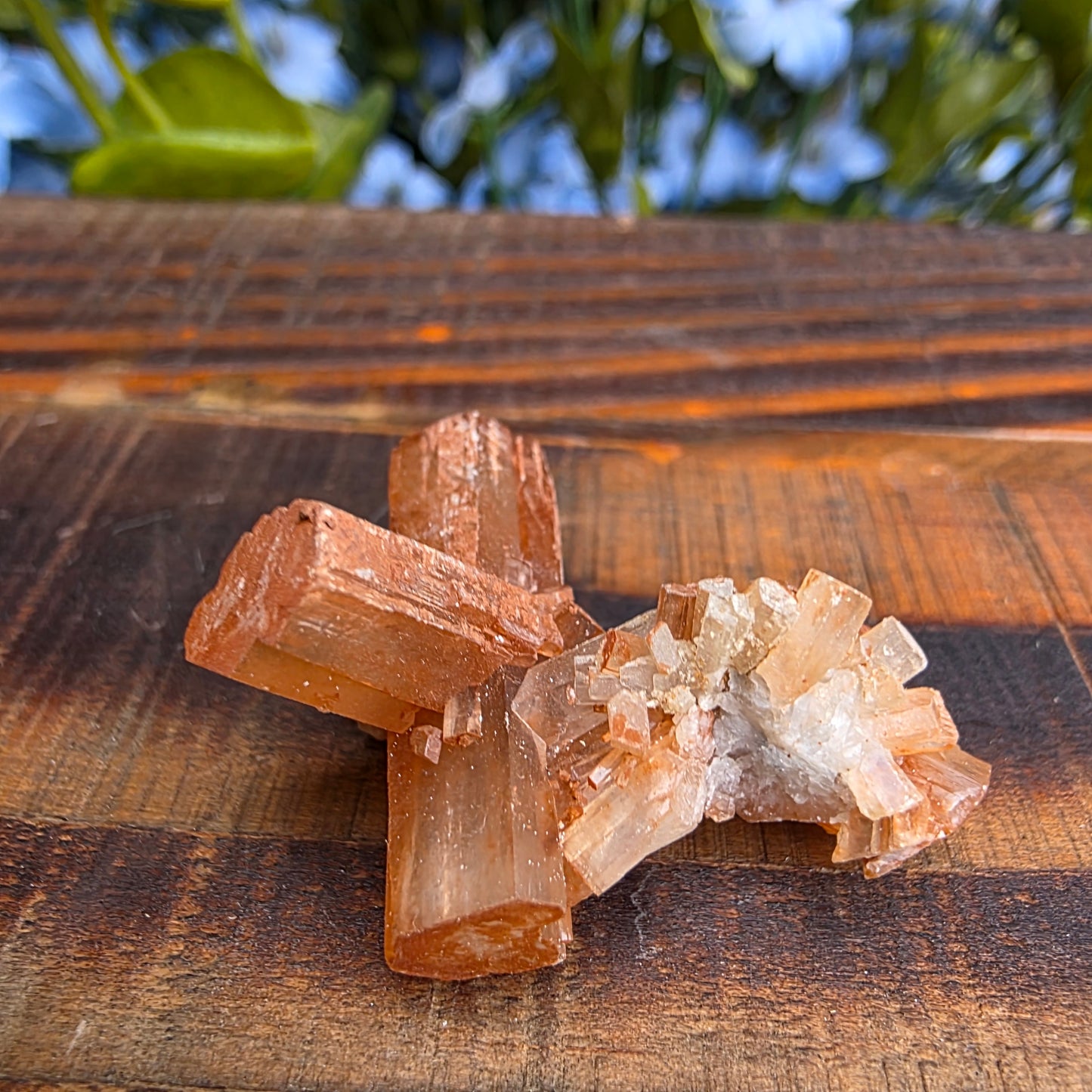 Aragonite Cluster Rock Specimen | Raw Natural Crystal Mineral | 9.36 g