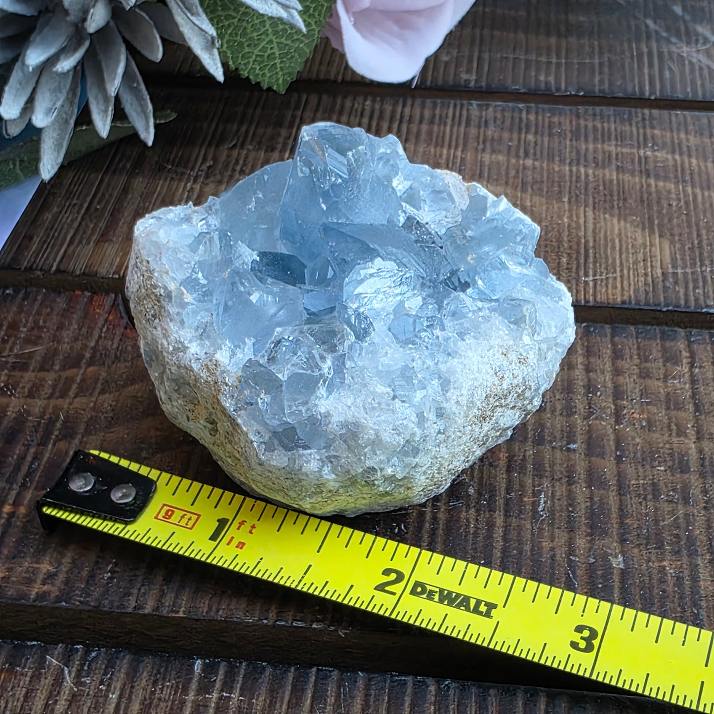 Celestite Crystal Rock Specimen |  Natural Blue Mineral | 238 g