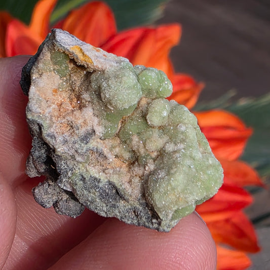 Green Wavellite Rock Specimen | Mauldin Mountain, Arkansas | Raw Stone