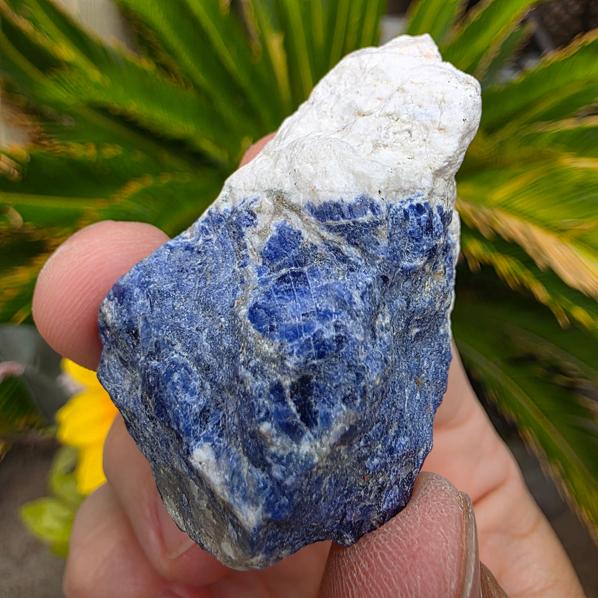 Sodalite Rock Specimen | Raw Natural Mineral | 42.85 g