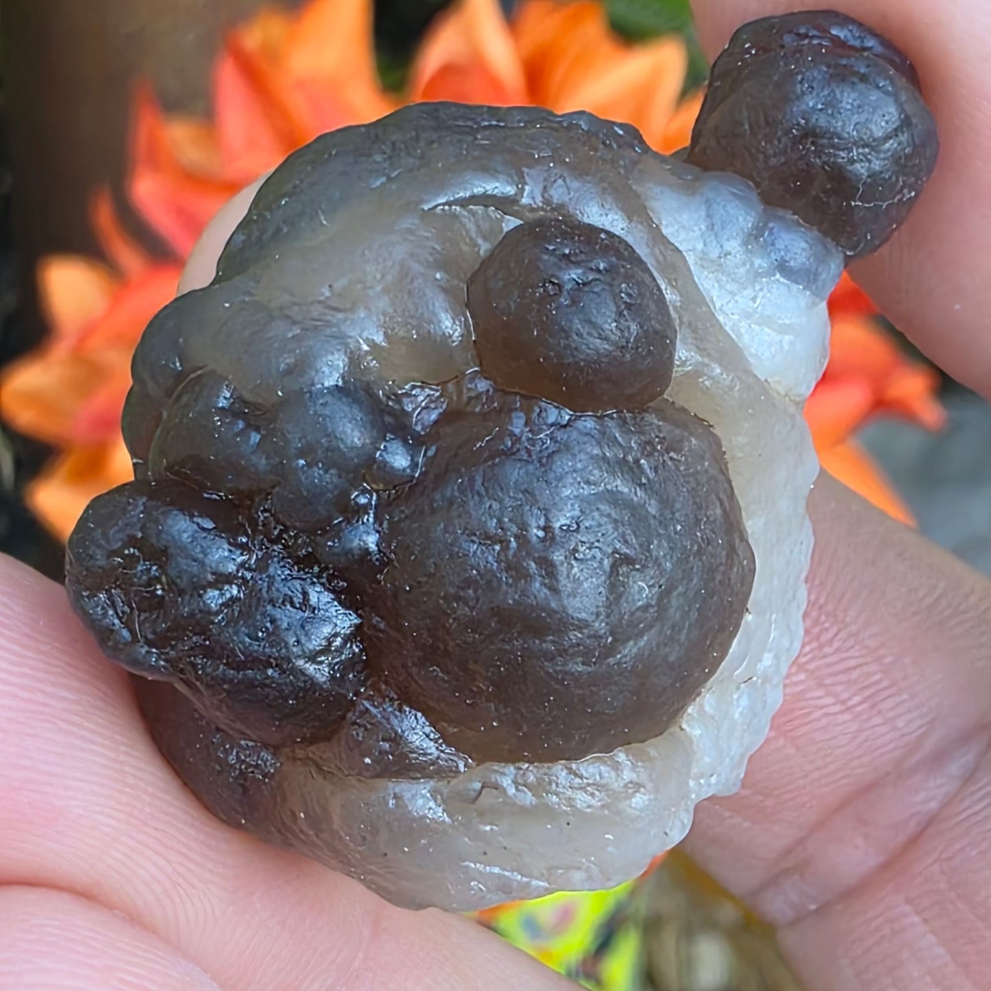 Truffle Chalcedony Rock Specimen, Raw Natural Mineral with Botryoidal Shape from Morocco