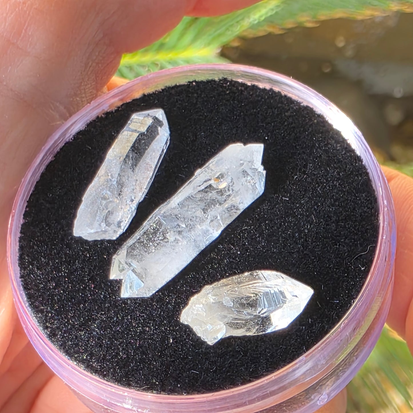Arkansas Quartz Crystals | Three Small Pieces in a Gem Jar, from Mt. Ida