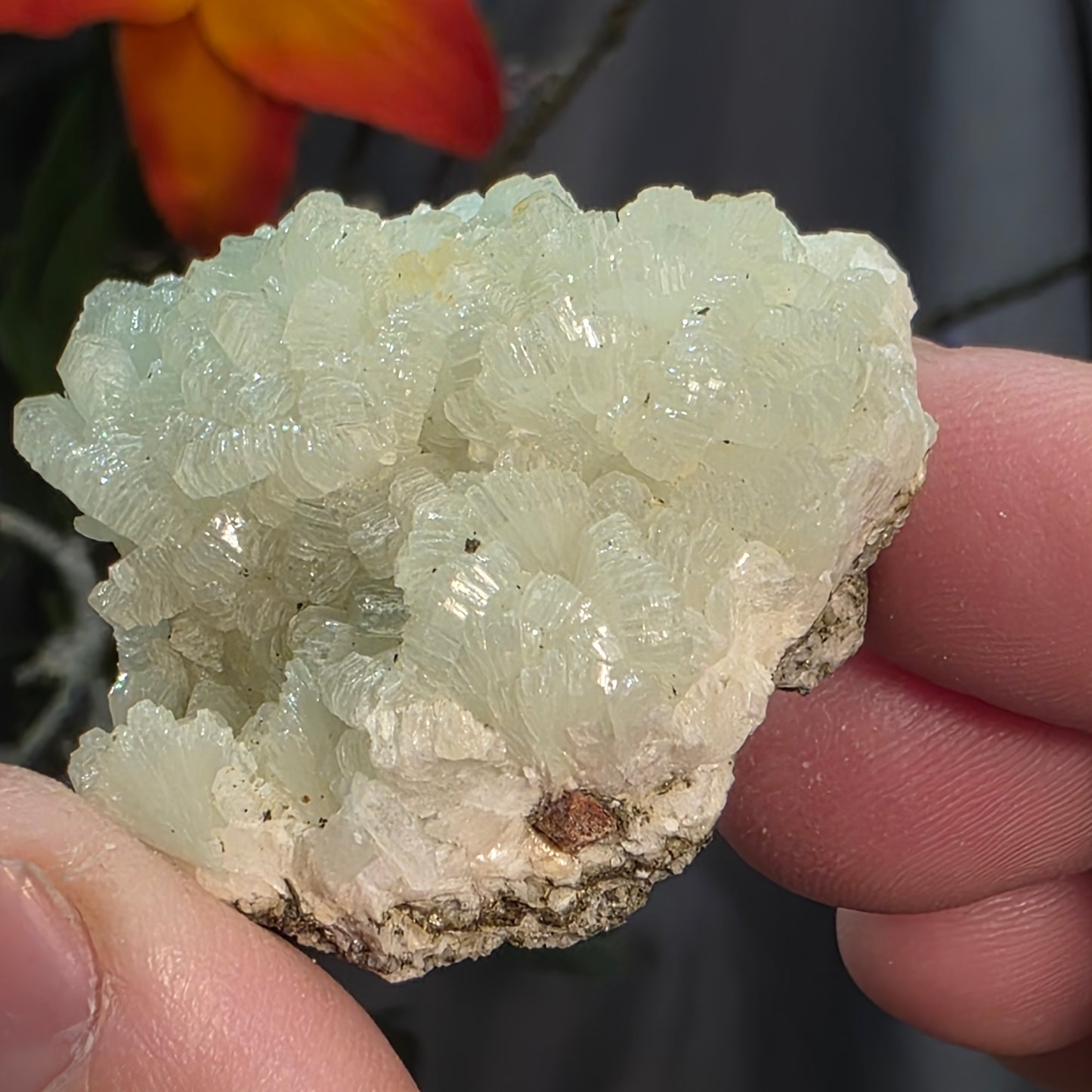 Light Green Prehnite Rock Specimen: Crystal Cluster from Morocco (37.28g)