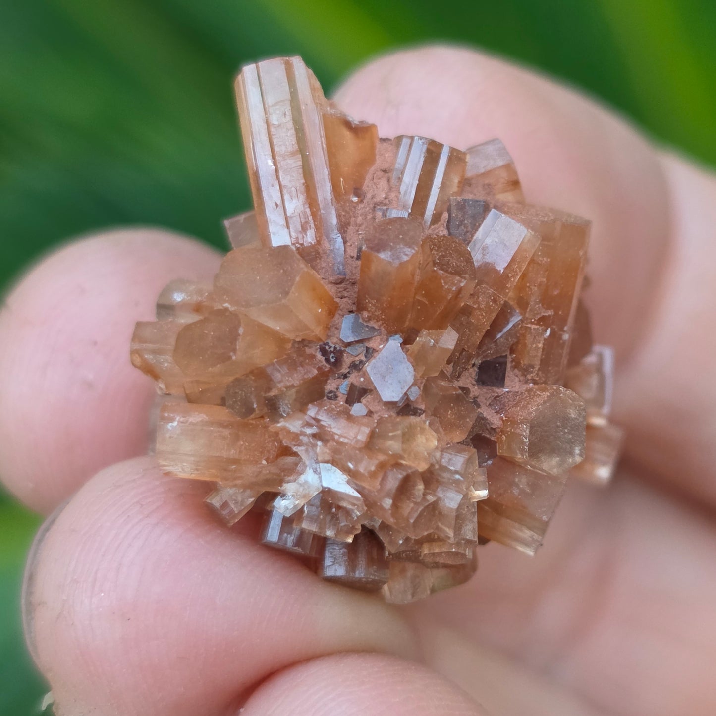 Aragonite Cluster Rock Specimen | Raw Natural Crystal Mineral | 11.34 g
