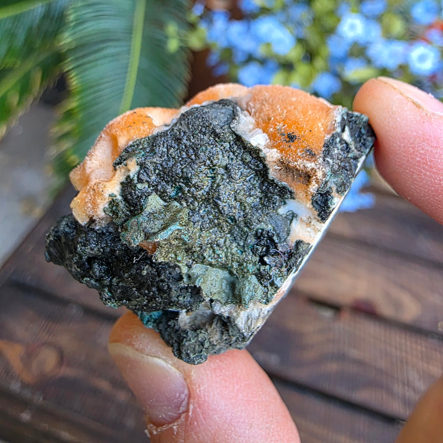 Thomsonite Mineral Specimen | Natural Orange Crystal on Basalt Matrix Rock