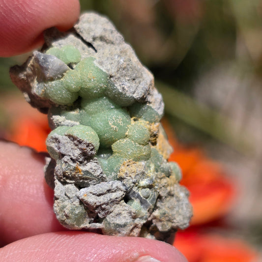 Green Wavellite Rock Specimen | Mt. Ida, Arkansas | Raw Stone