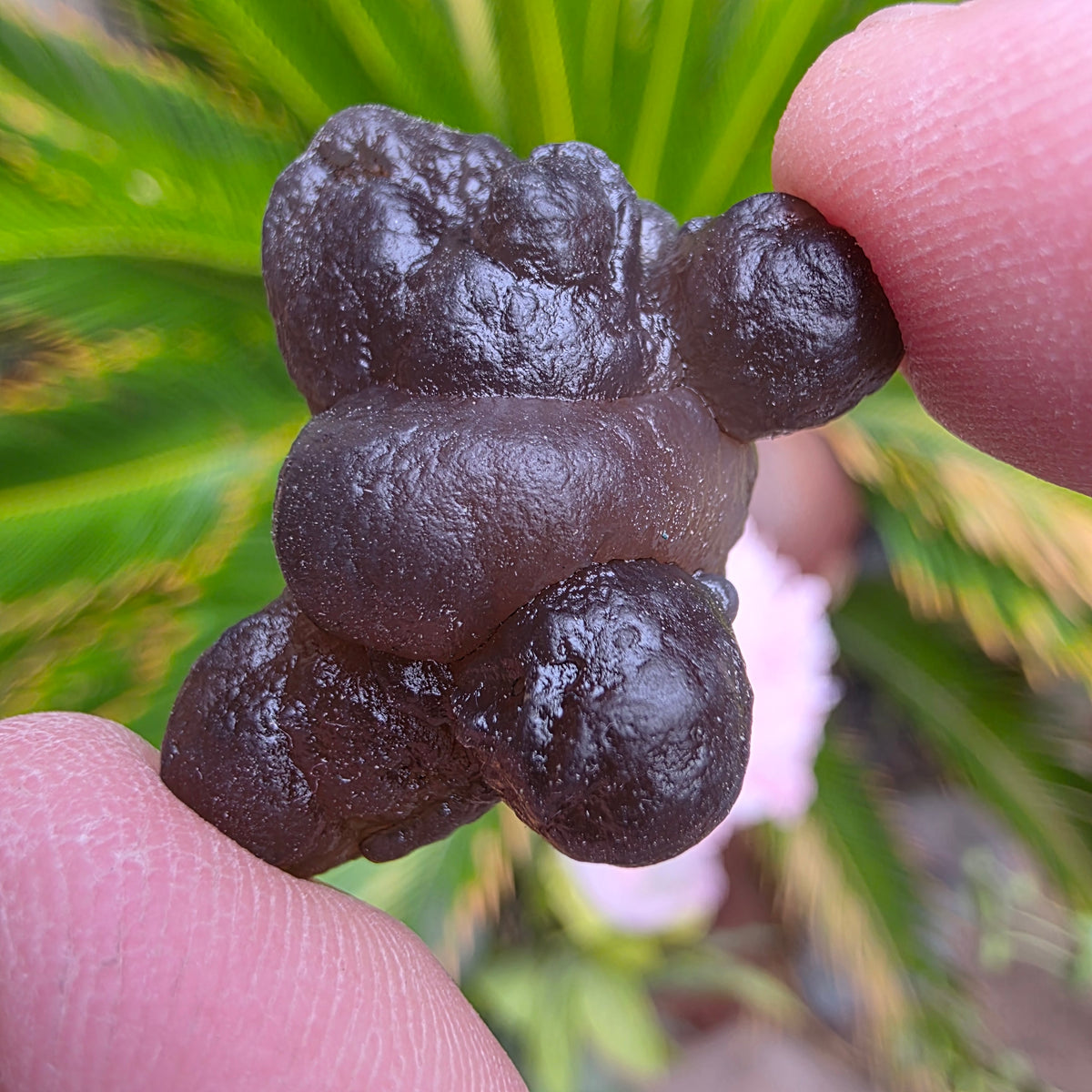 Truffle Chalcedony Rock Specimen, Raw Natural Mineral with Botryoidal Shape from Morocco
