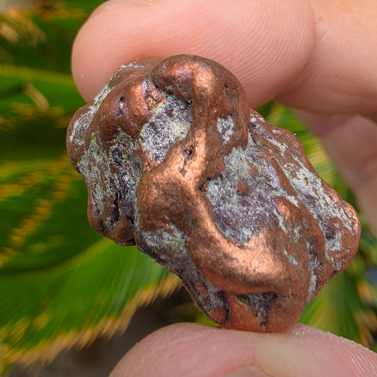 Native Michigan Copper - Rock Specimen from the Keweenaw Peninsula