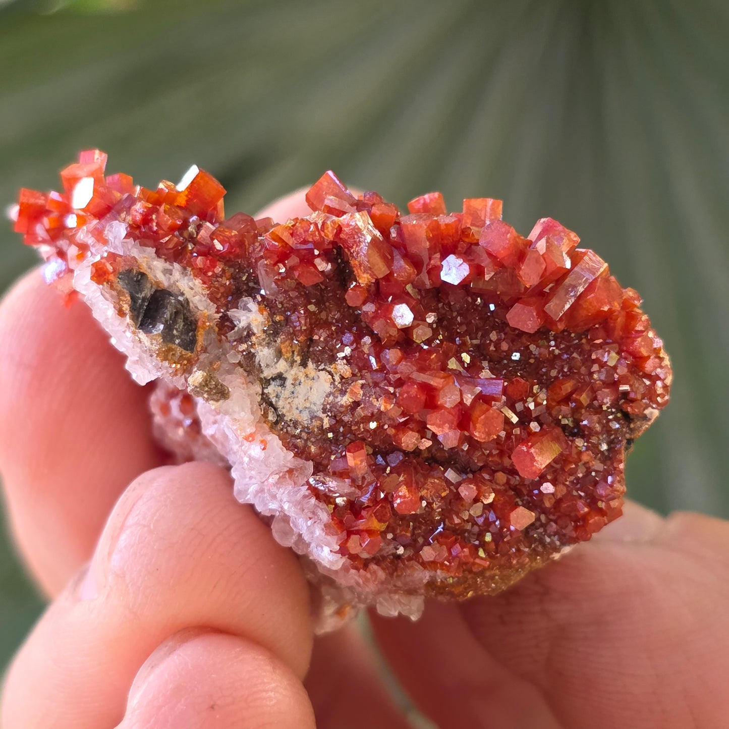 Arizona Vanadinite Rock | Red Crystals | La Paz County | Arizona | Raw Stone