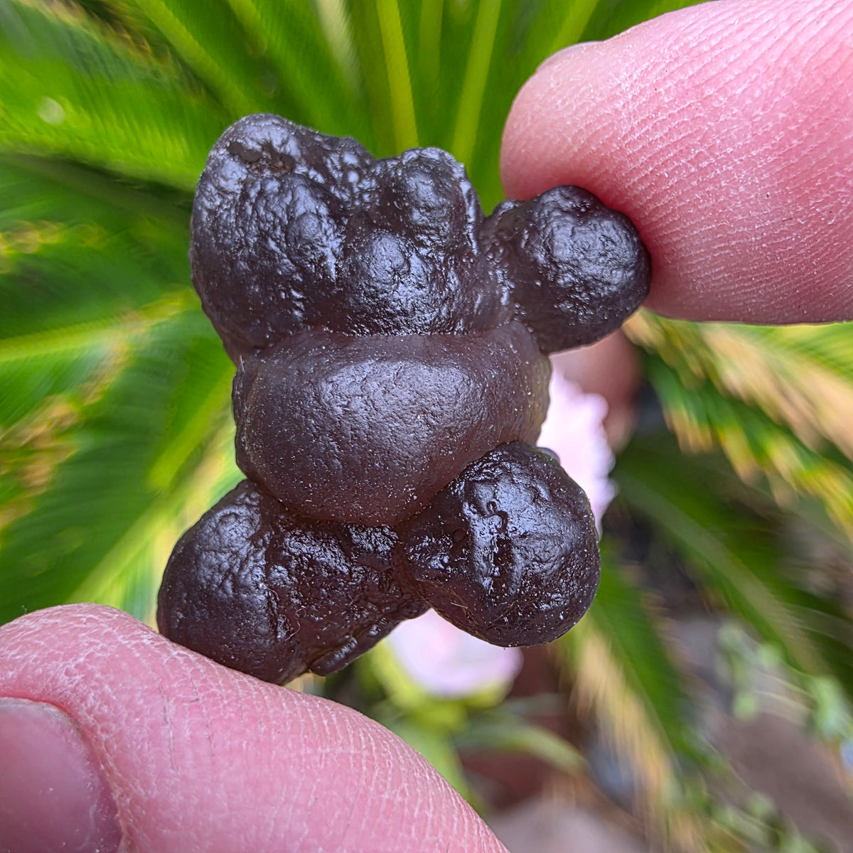 Truffle Chalcedony Rock Specimen, Raw Natural Mineral with Botryoidal Shape from Morocco