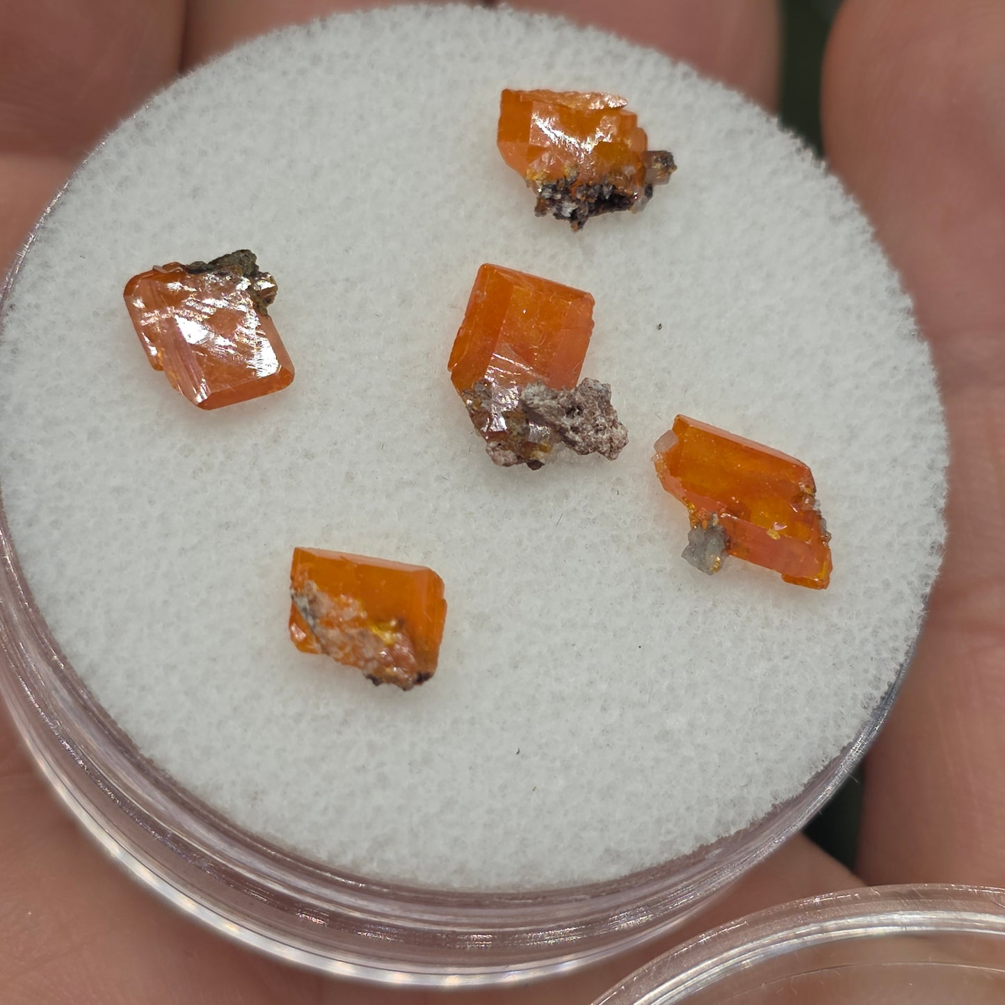 Arizona Wulfenite Gem Jar | 5 Orange Crystals | Red Cloud Mine | La Paz County | Arizona | Raw Stones