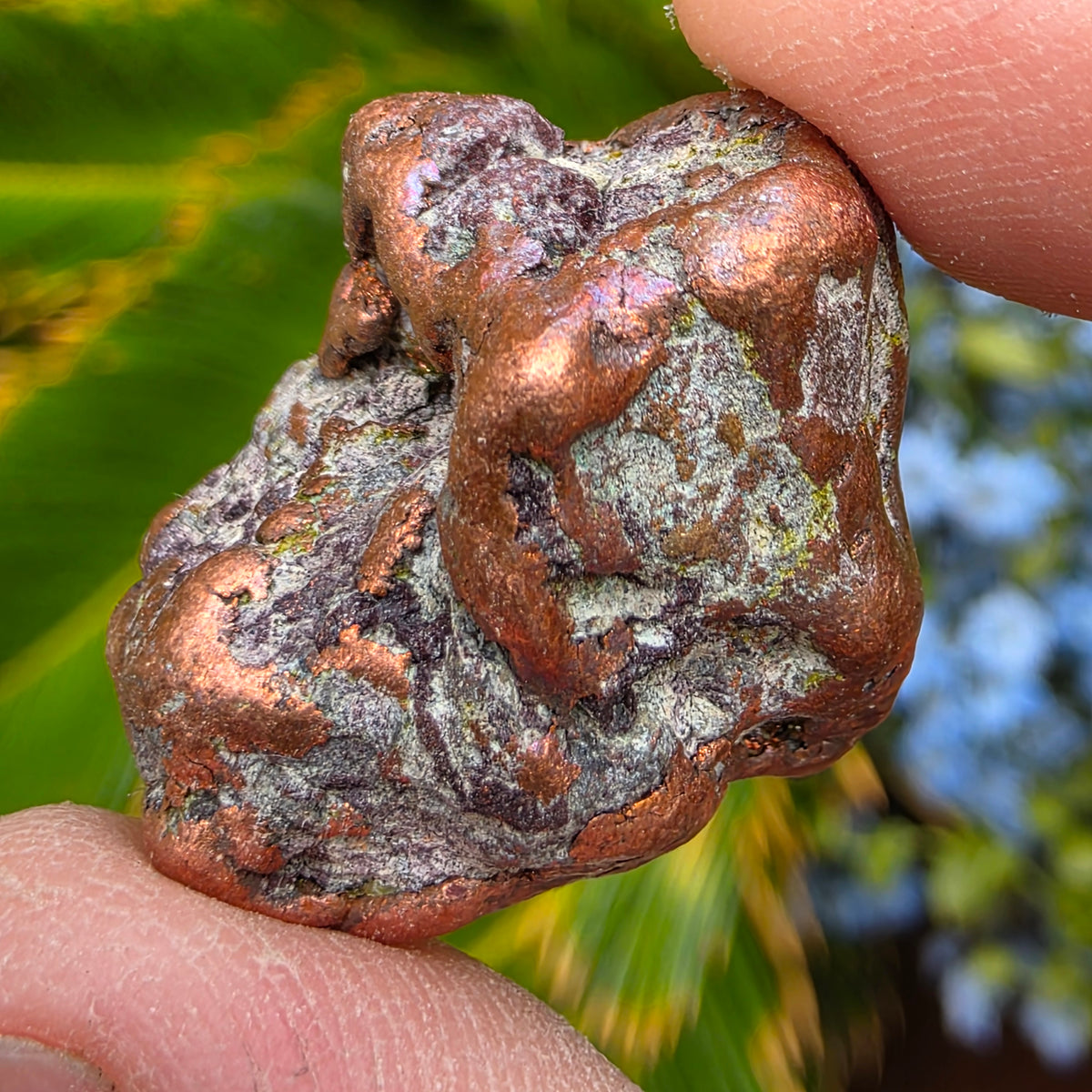 Native Michigan Copper - Rock Specimen from the Keweenaw Peninsula