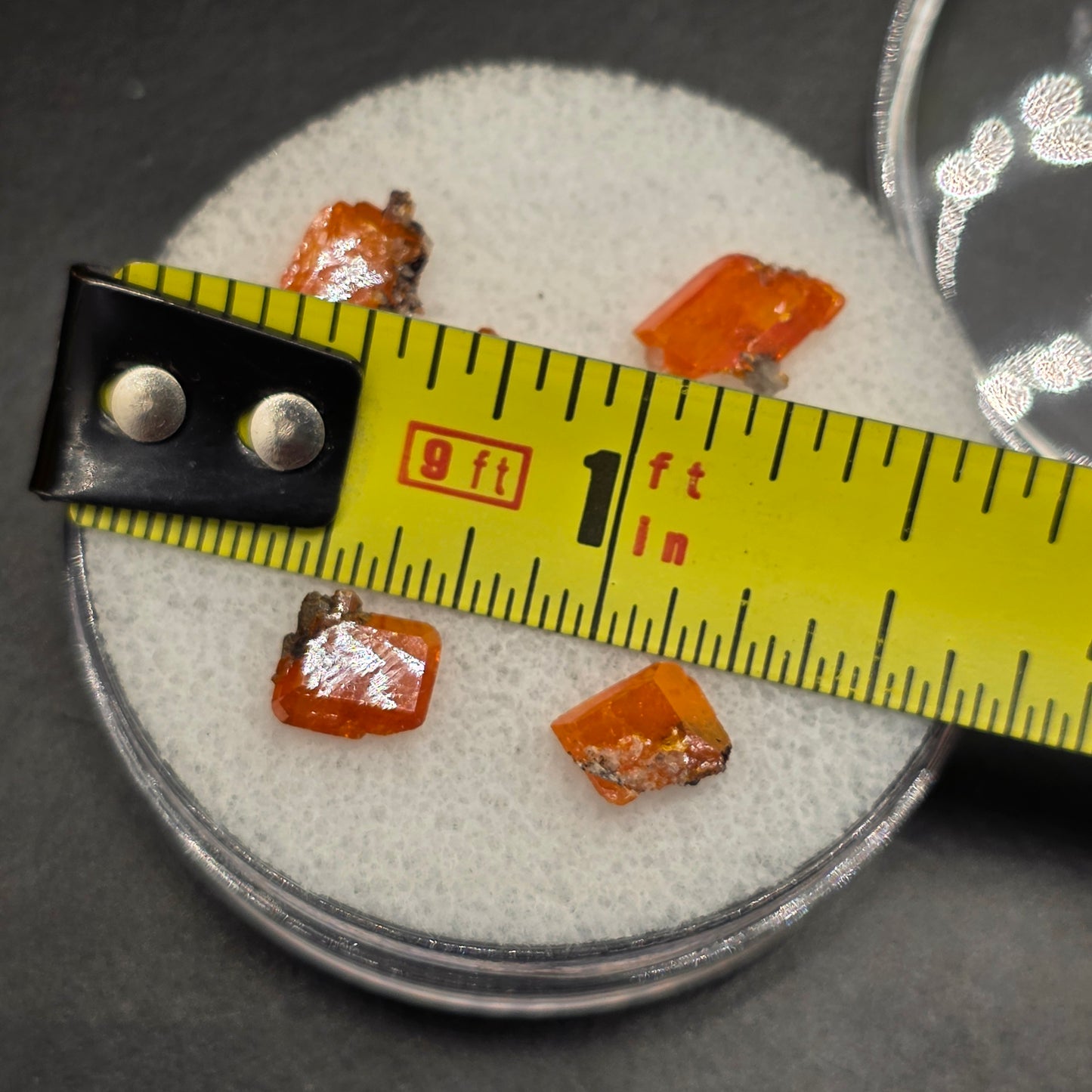 Arizona Wulfenite Gem Jar | 5 Orange Crystals | Red Cloud Mine | La Paz County | Arizona | Raw Stones