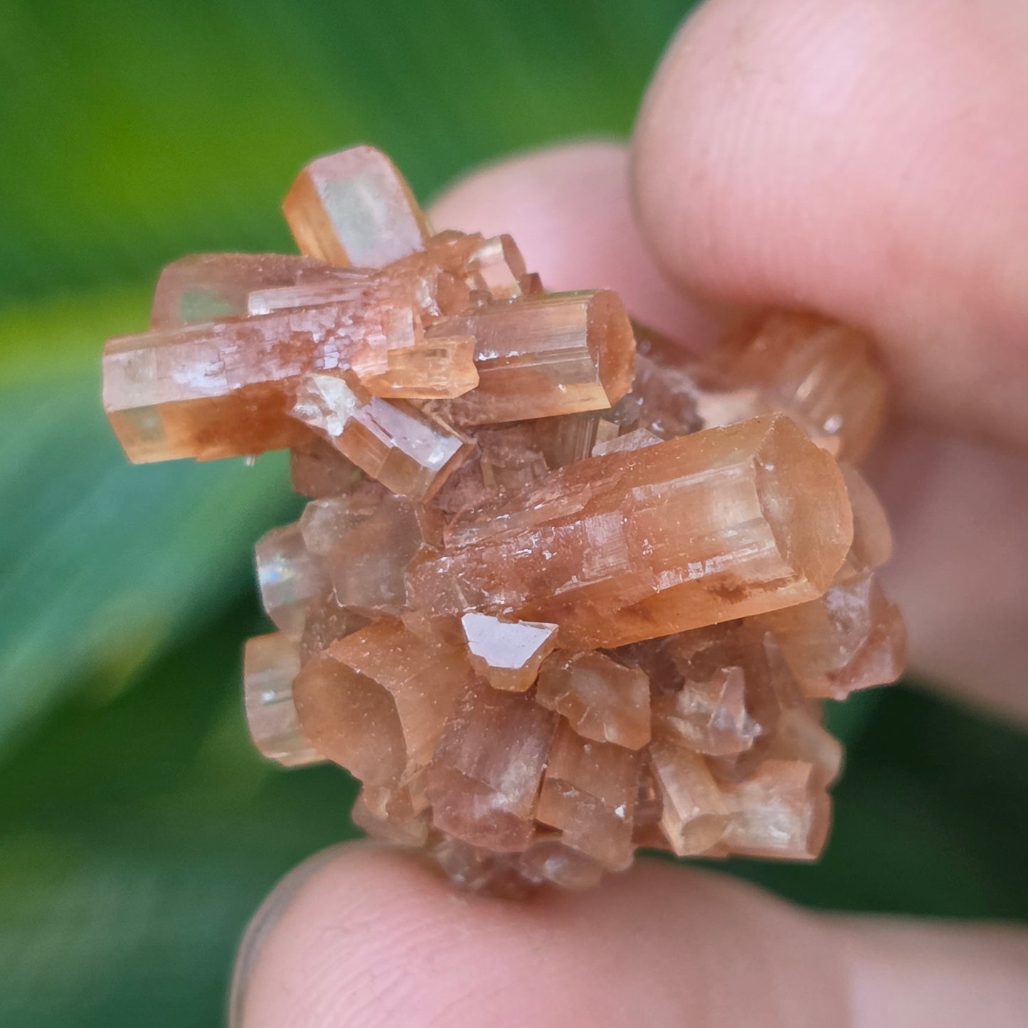 Aragonite Cluster Rock Specimen | Raw Natural Crystal Mineral | 11.34 g