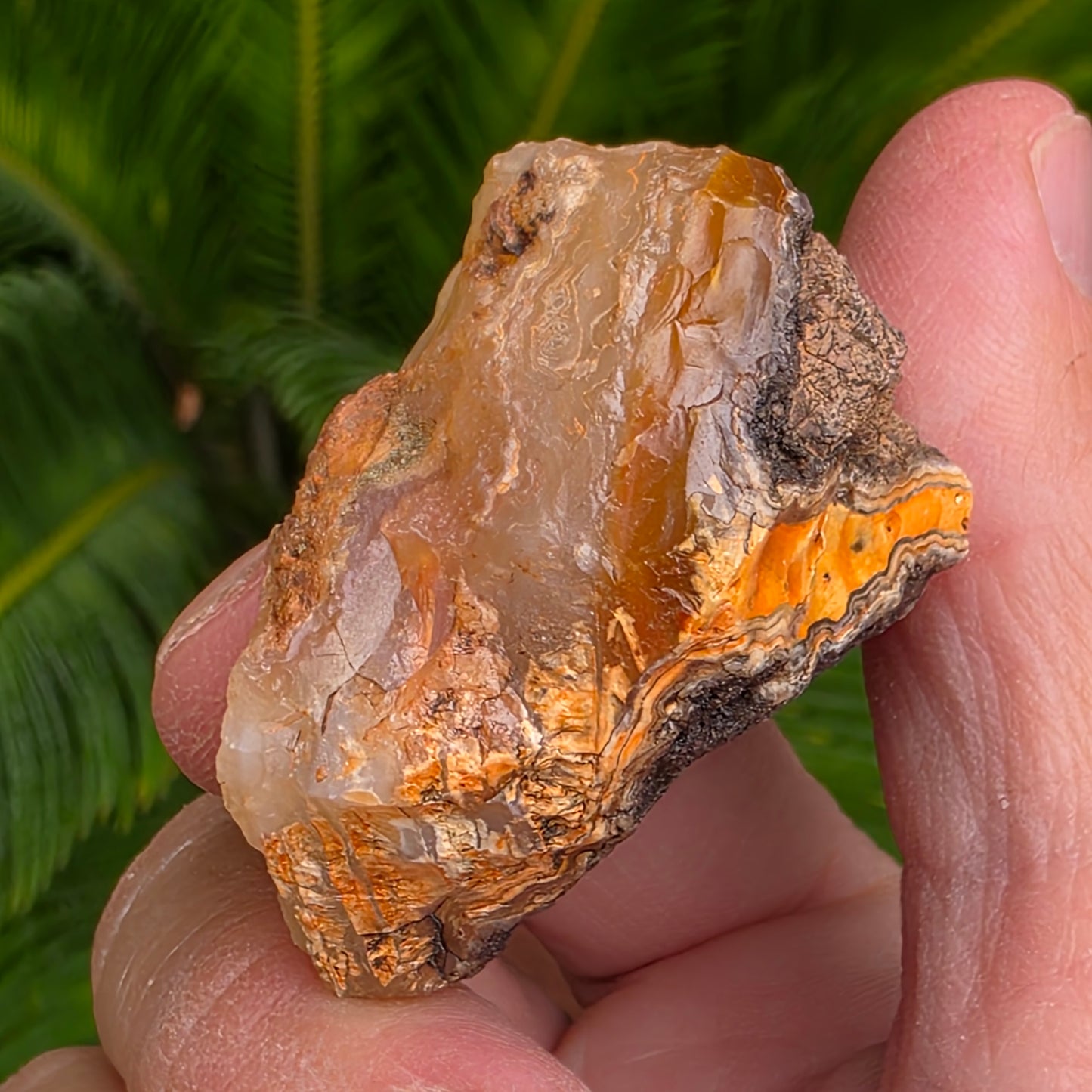 California Jasper Chalcedony Agate Specimen: Natural Mule Mountains Rock (53.22 grams)