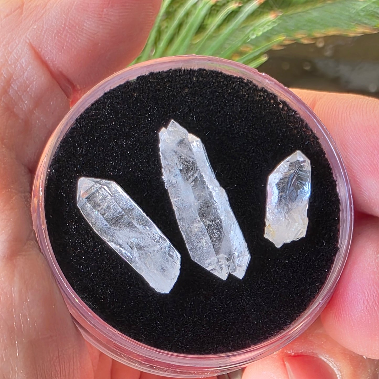 Arkansas Quartz Crystals | Three Small Pieces in a Gem Jar, from Mt. Ida