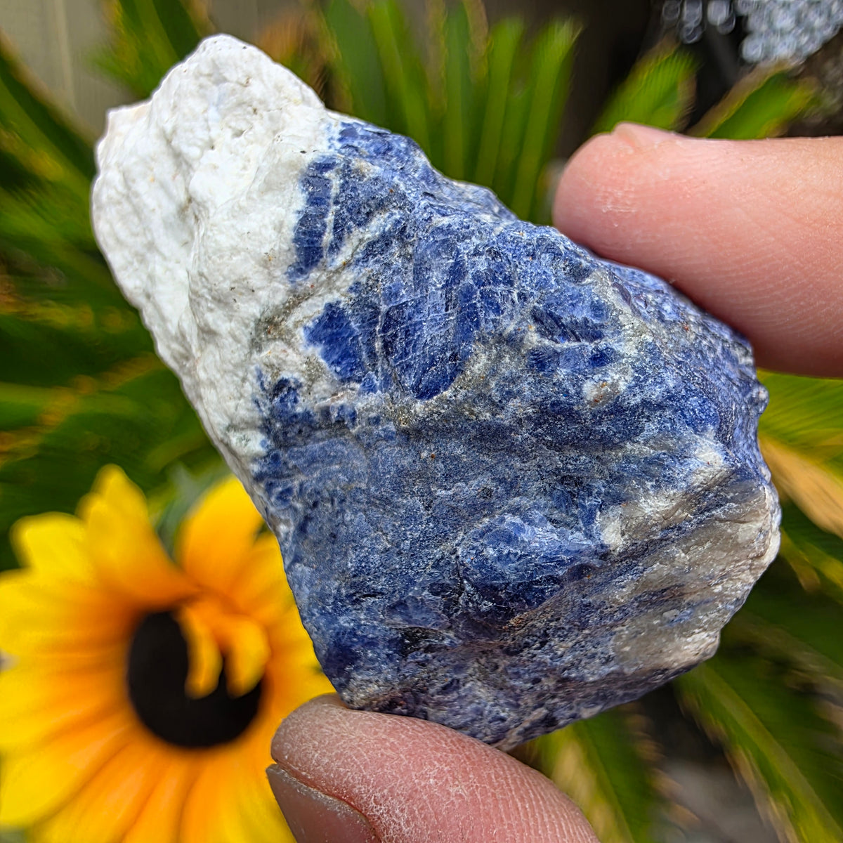 Sodalite Rock Specimen | Raw Natural Mineral | 42.85 g