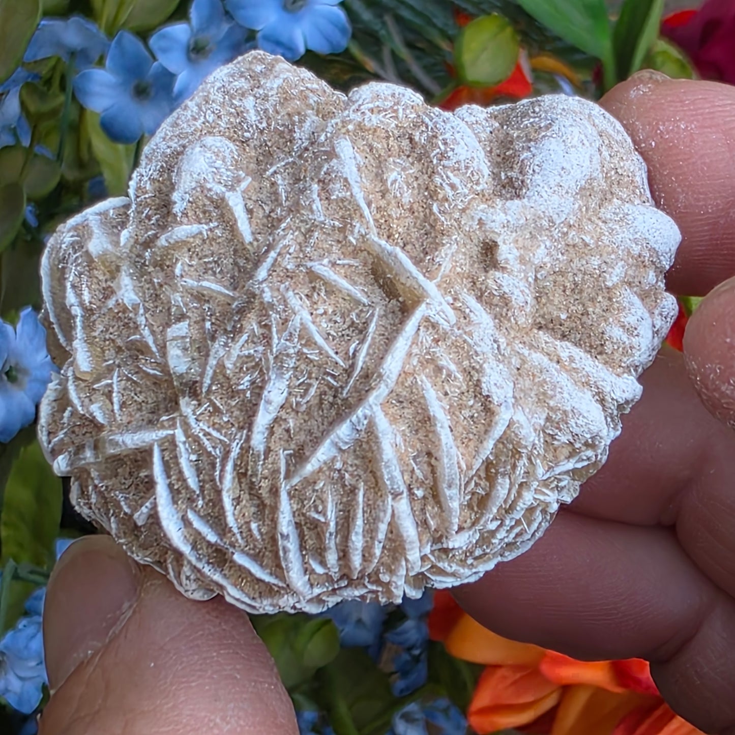 Desert Rose Gypsum Cluster Rock Specimen | Raw Natural Crystal Mineral