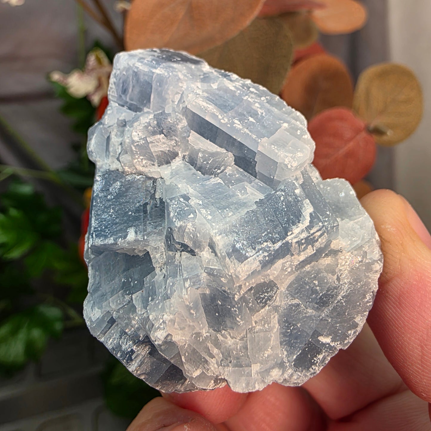 Blue Calcite Rock Specimen | Raw Natural Crystal Mineral | 59.23 g