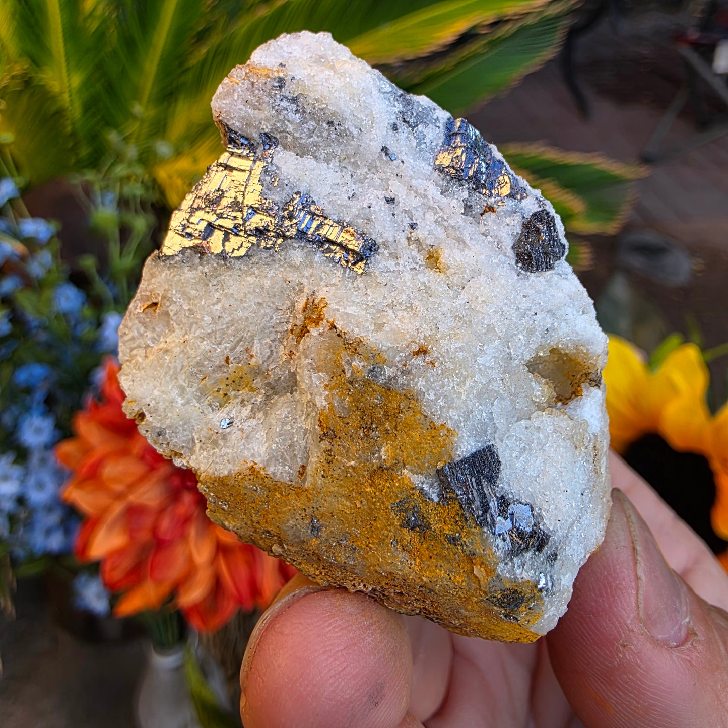 Galena on Quartz Matrix Rock Mineral Specimen from Morocco Raw Shiny Stone