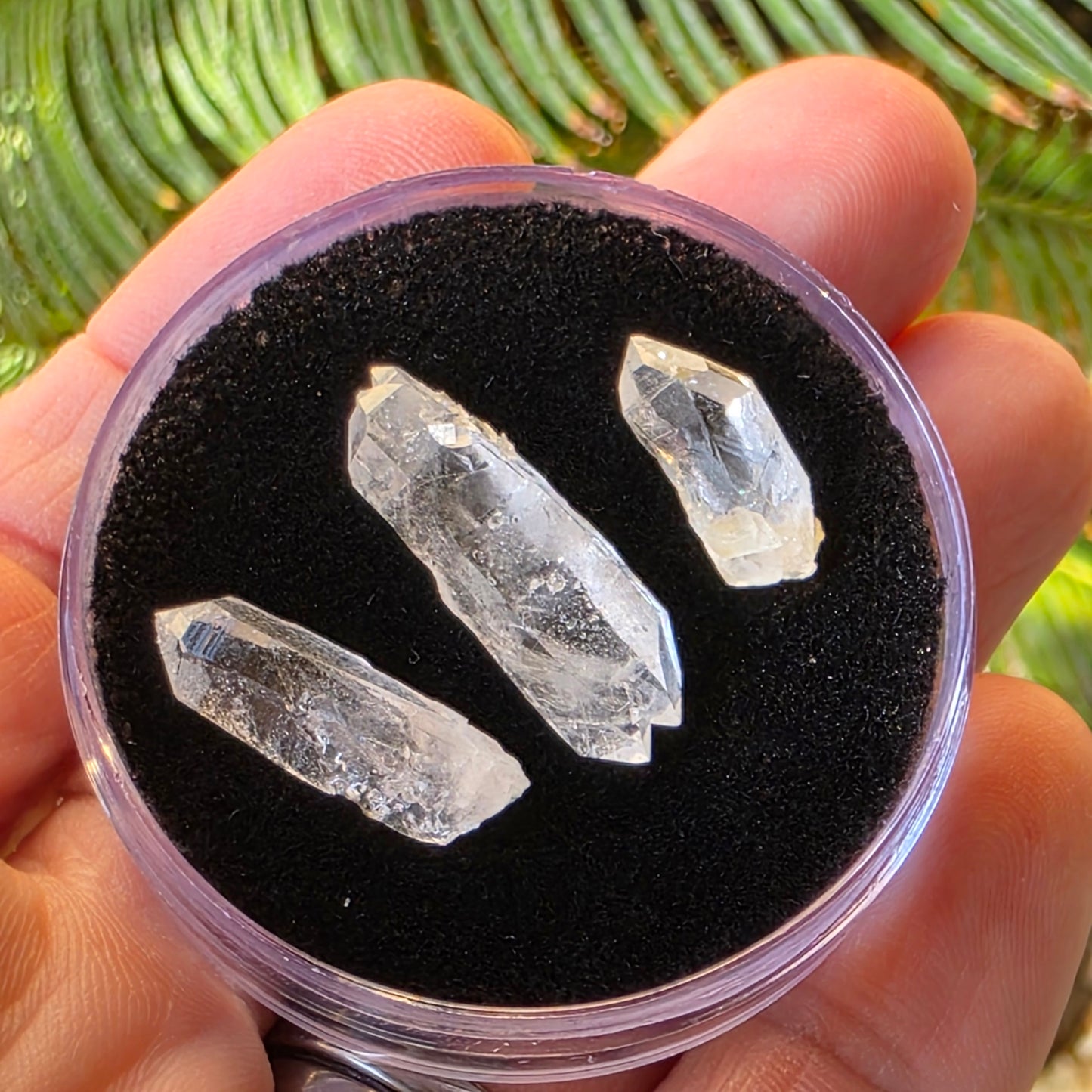 Arkansas Quartz Crystals | Three Small Pieces in a Gem Jar, from Mt. Ida