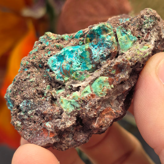 Blue and Green Chrysocolla Rock Specimen | Copper Ore | Planet Mine | Arizona | Raw Stone
