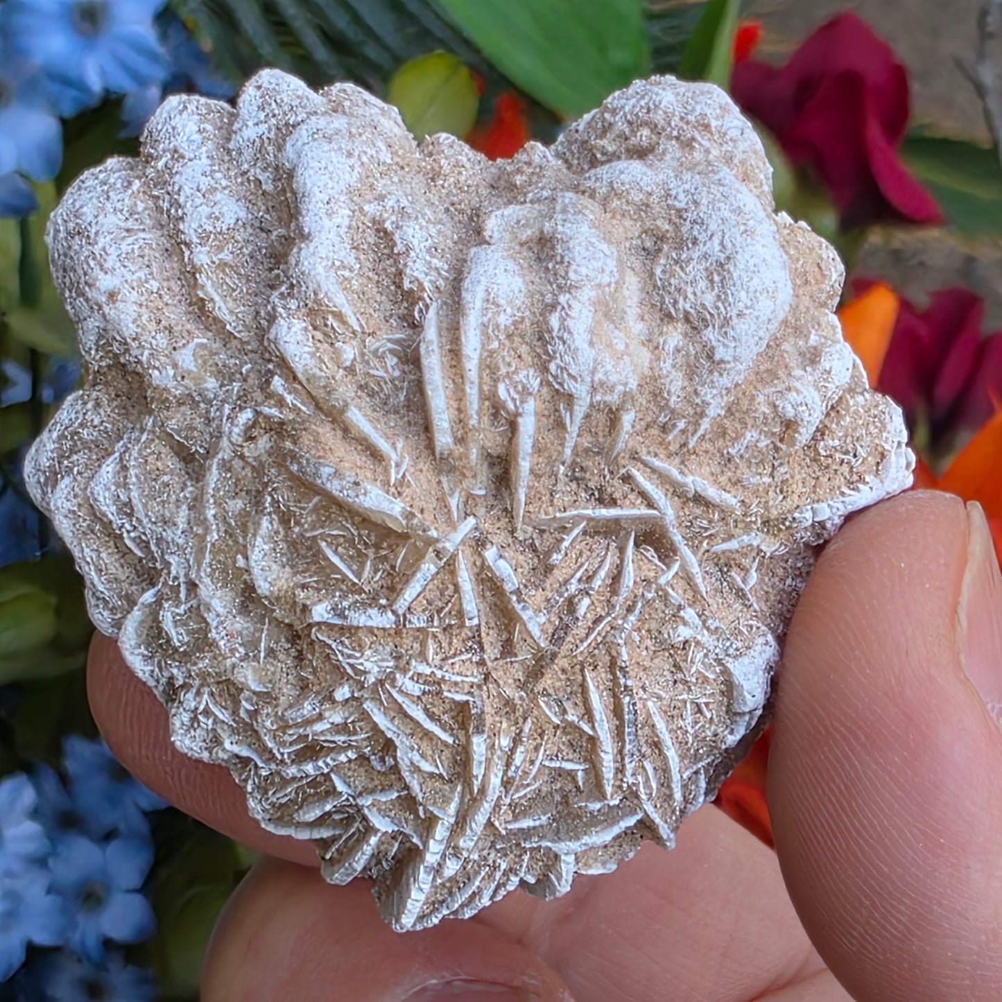 Desert Rose Gypsum Cluster Rock Specimen | Raw Natural Crystal Mineral