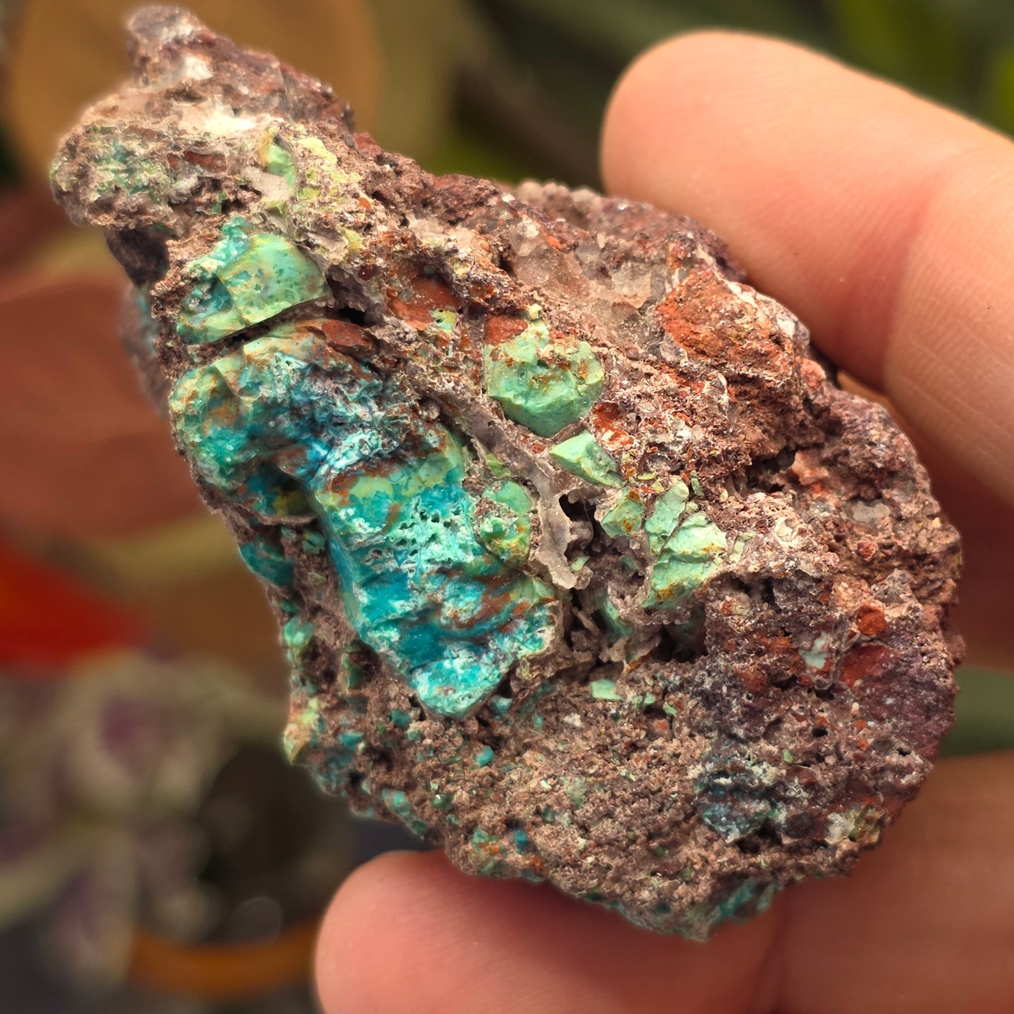 Blue and Green Chrysocolla Rock Specimen | Copper Ore | Planet Mine | Arizona | Raw Stone