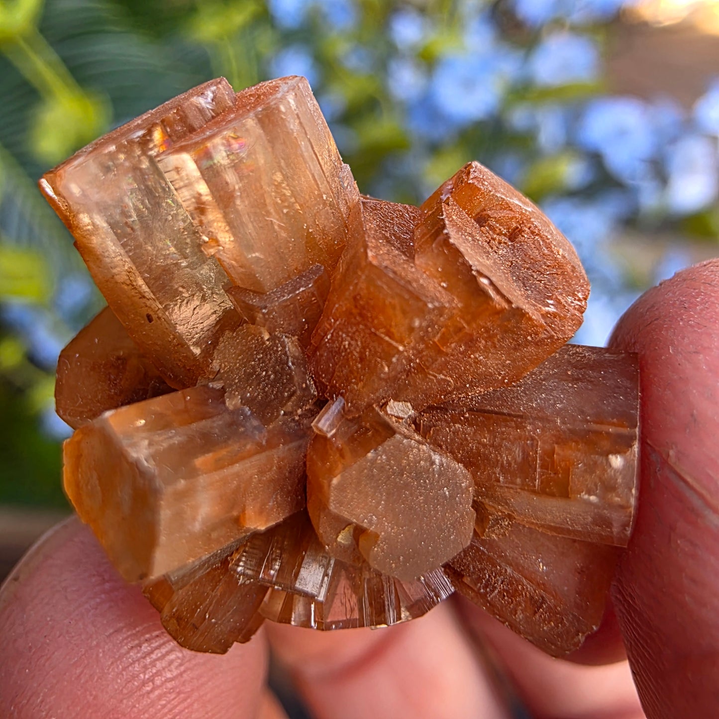 Aragonite Cluster Rock Specimen | Raw Natural Crystal Mineral | 11.72 g