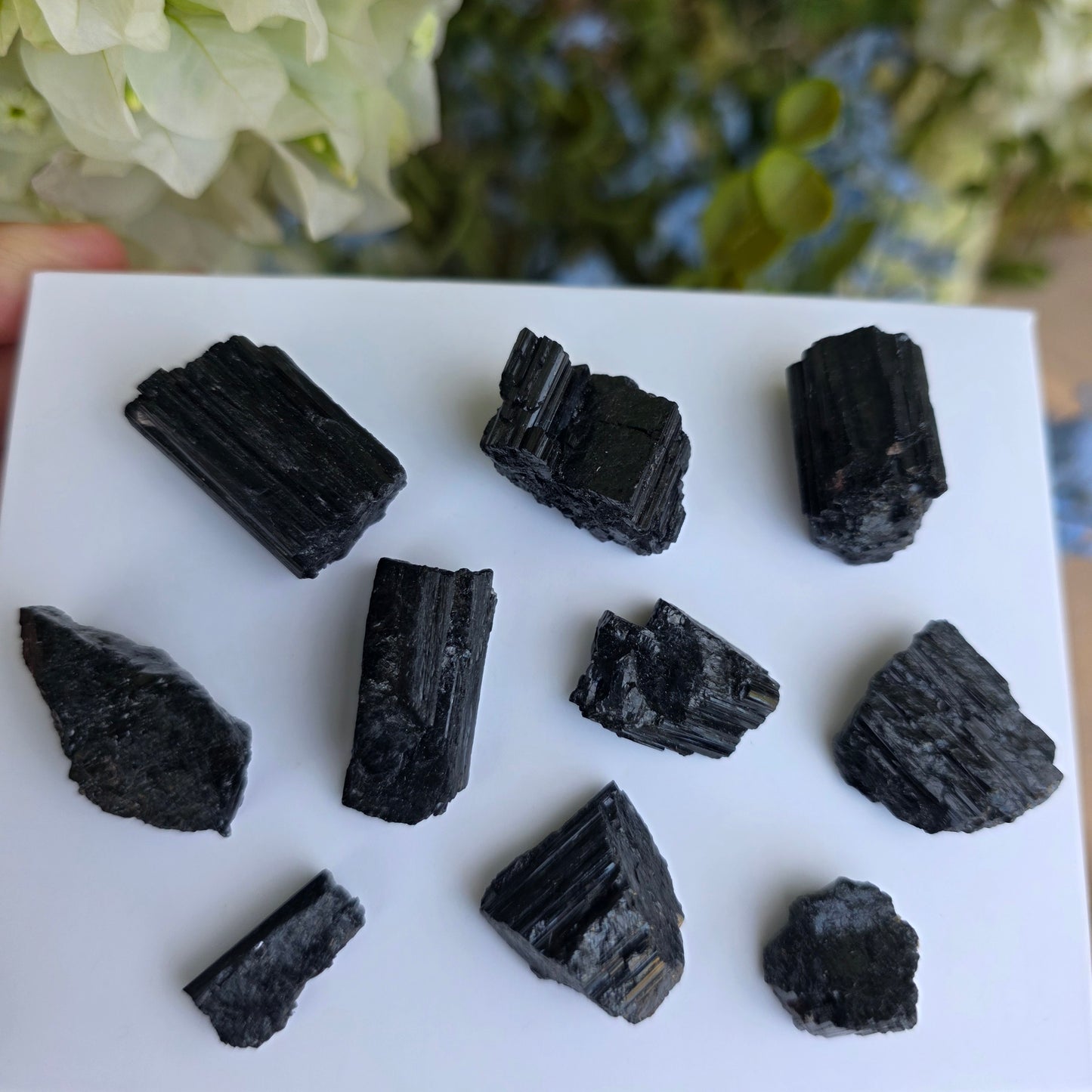 Wholesale Black Tourmaline / Natural Schorl, Lot of 10 Small Pieces, 72 g Total
