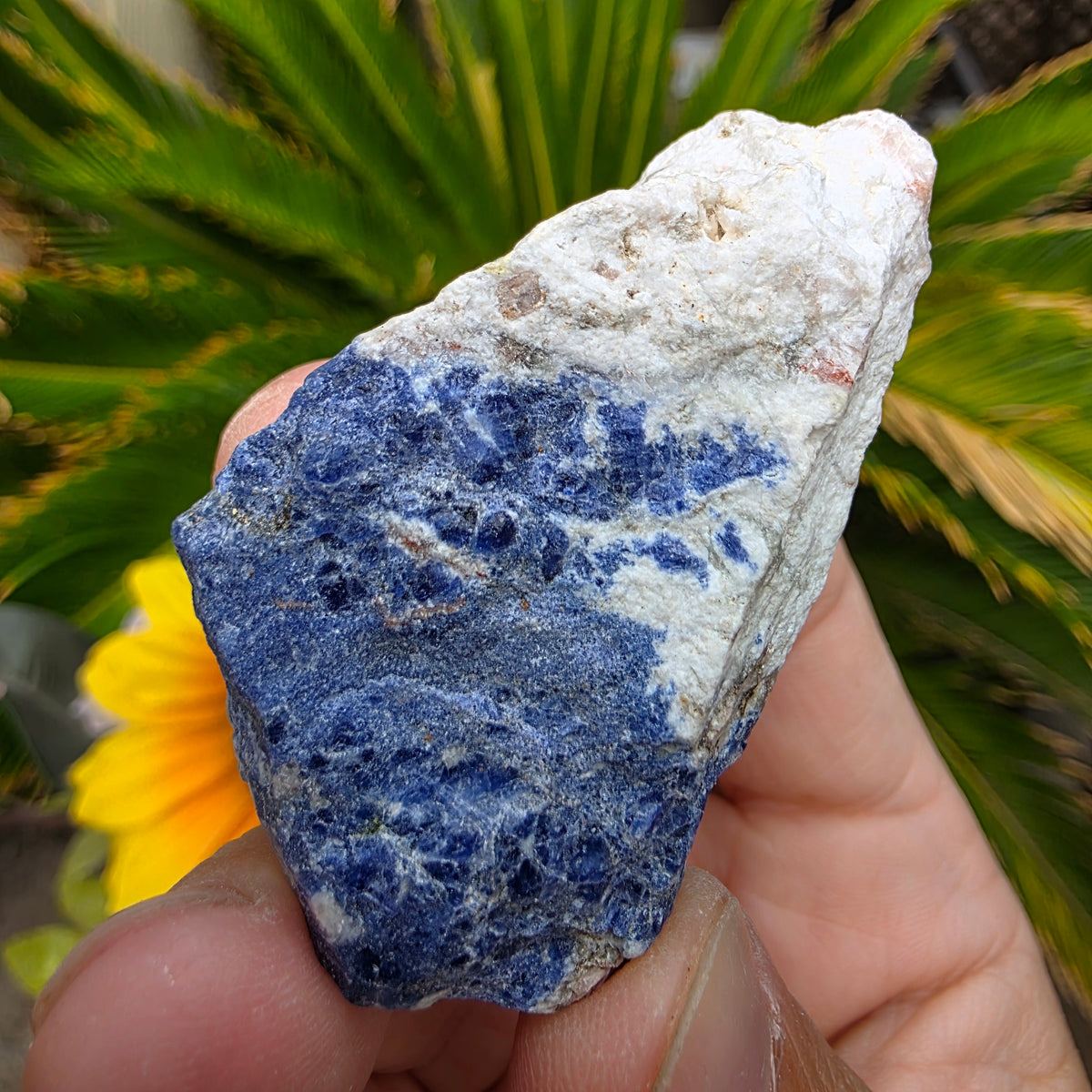 Sodalite Rock Specimen | Raw Natural Mineral | 42.85 g