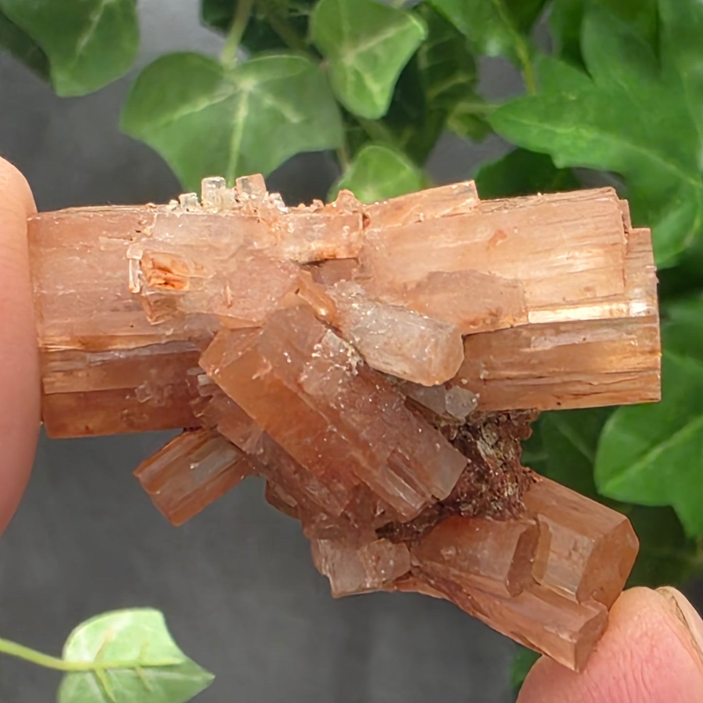 Aragonite Cluster Rock Specimen | Raw Natural Crystal Mineral | 15.83 g