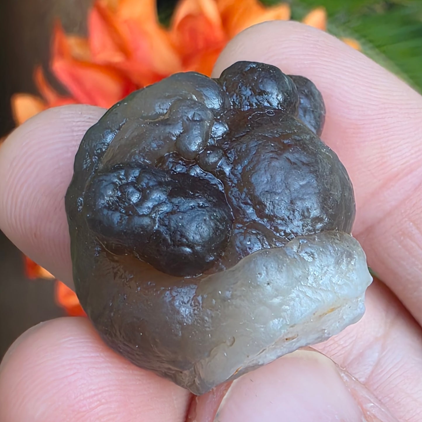 Truffle Chalcedony Rock Specimen, Raw Natural Mineral with Botryoidal Shape from Morocco