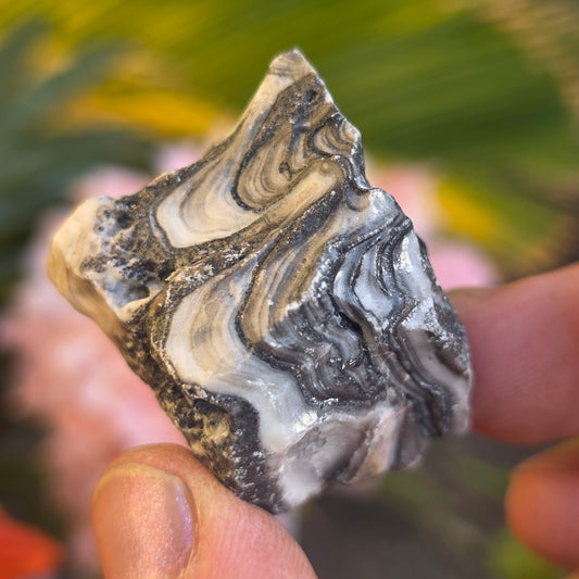 Zebra Calcite Rock Specimen | Natural Crystal Mineral | 27 Grams
