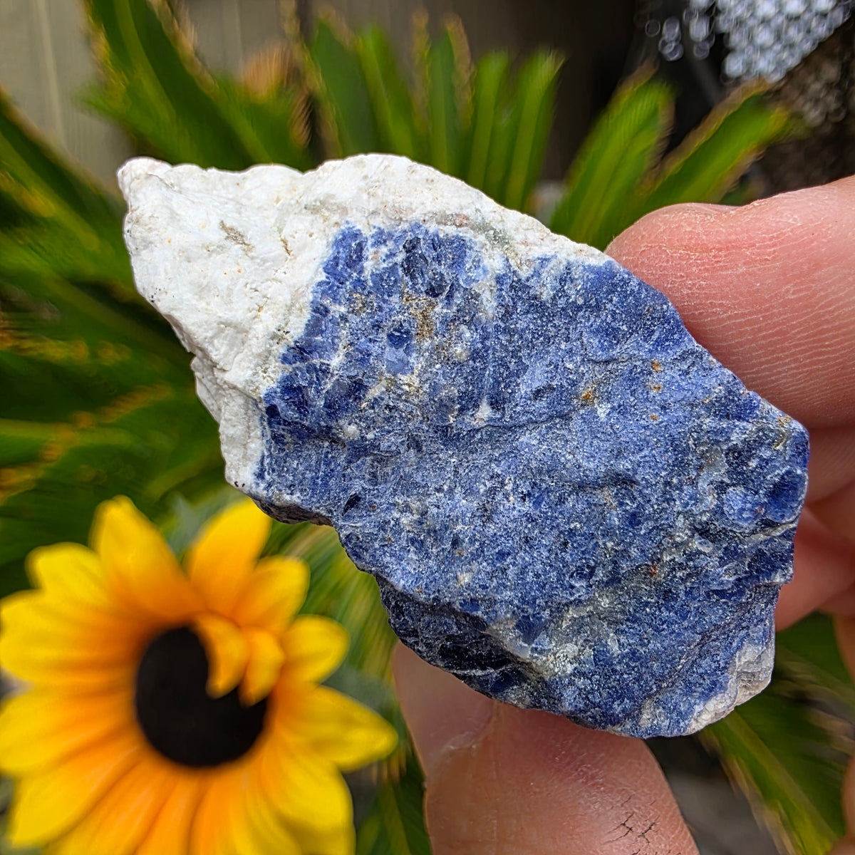 Sodalite Rock Specimen | Raw Natural Mineral | 42.85 g