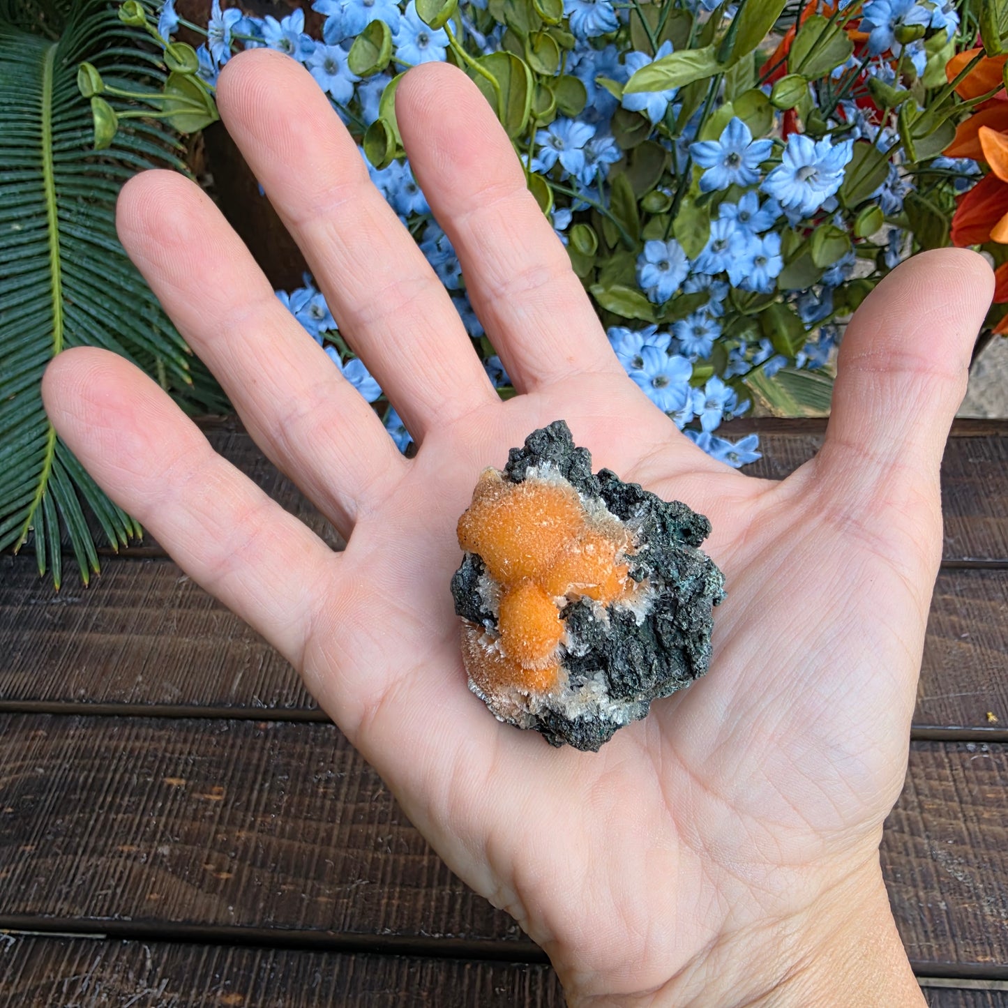 Thomsonite Mineral Specimen | Natural Orange Crystal on Basalt Matrix Rock