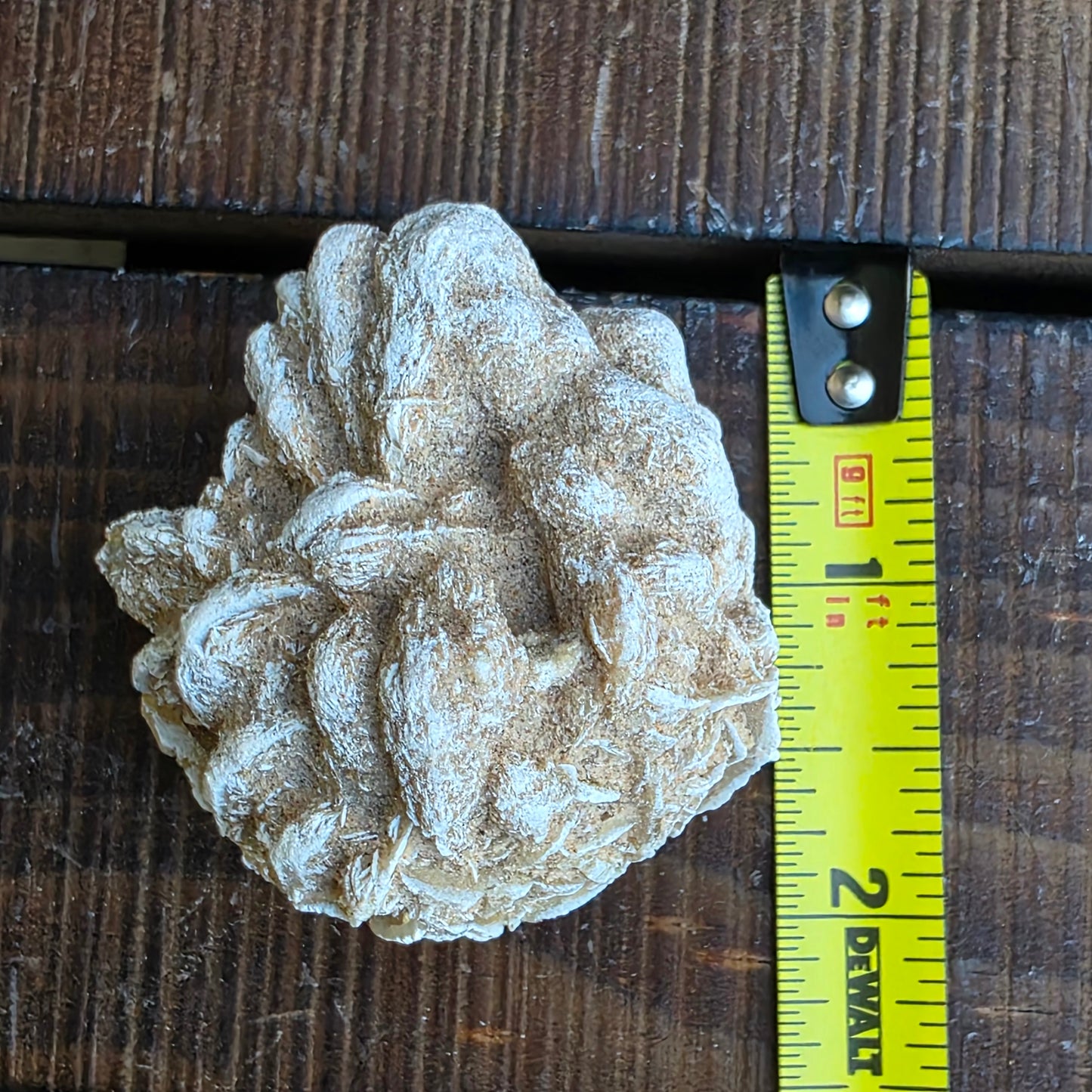 Desert Rose Gypsum Cluster Rock Specimen | Raw Natural Crystal Mineral