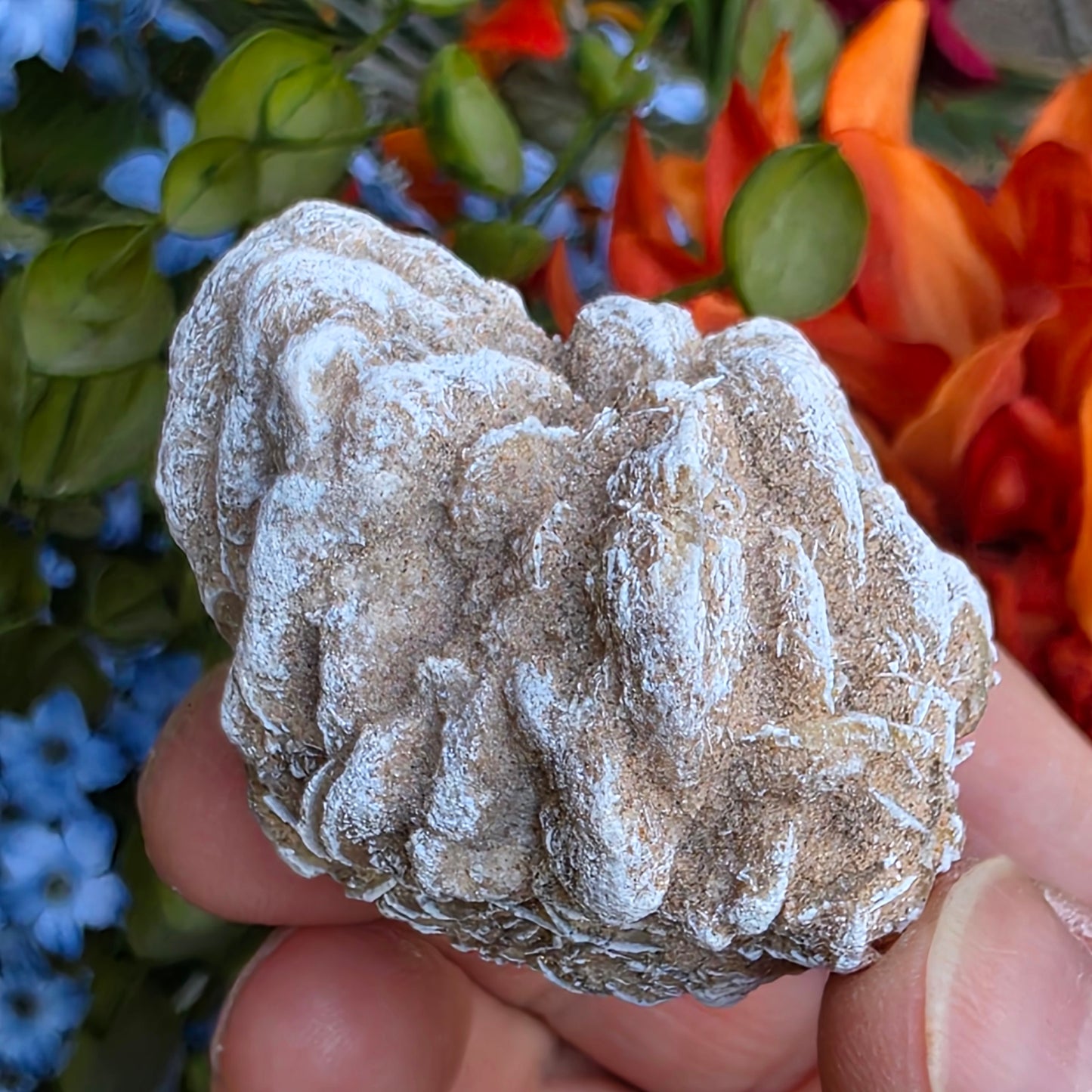Desert Rose Gypsum Cluster Rock Specimen | Raw Natural Crystal Mineral