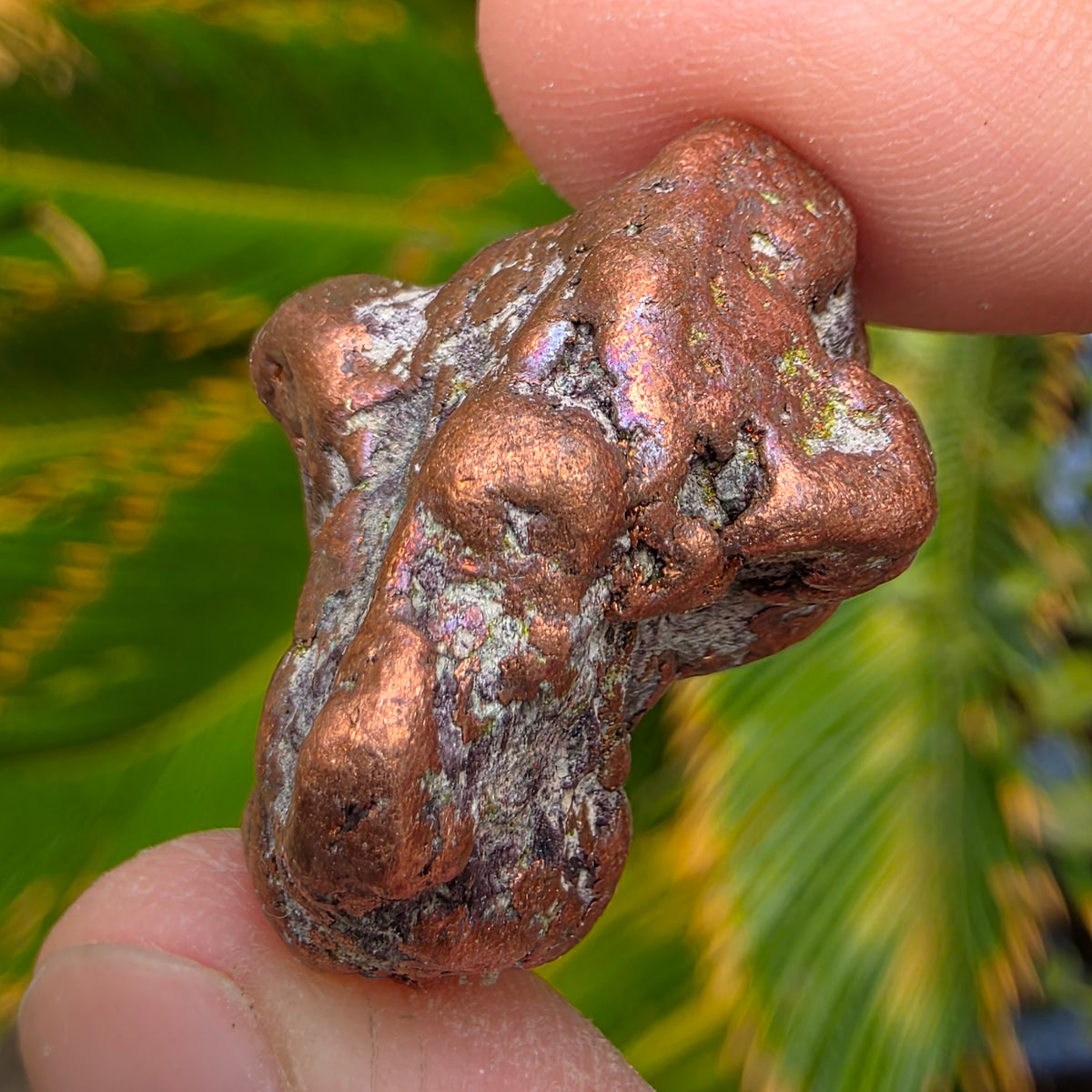 Native Michigan Copper - Rock Specimen from the Keweenaw Peninsula