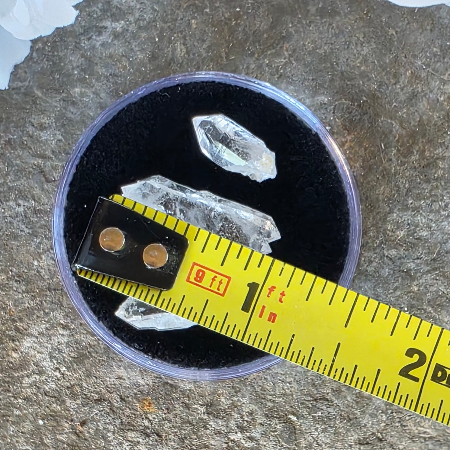 Arkansas Quartz Crystals | Three Small Pieces in a Gem Jar, from Mt. Ida