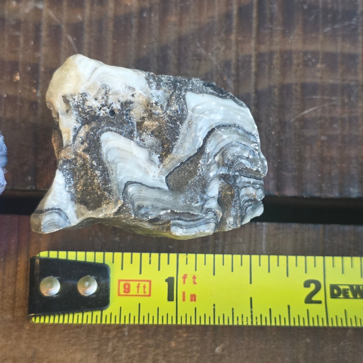 Zebra Calcite Rock Specimen | Natural Crystal Mineral | 27 Grams
