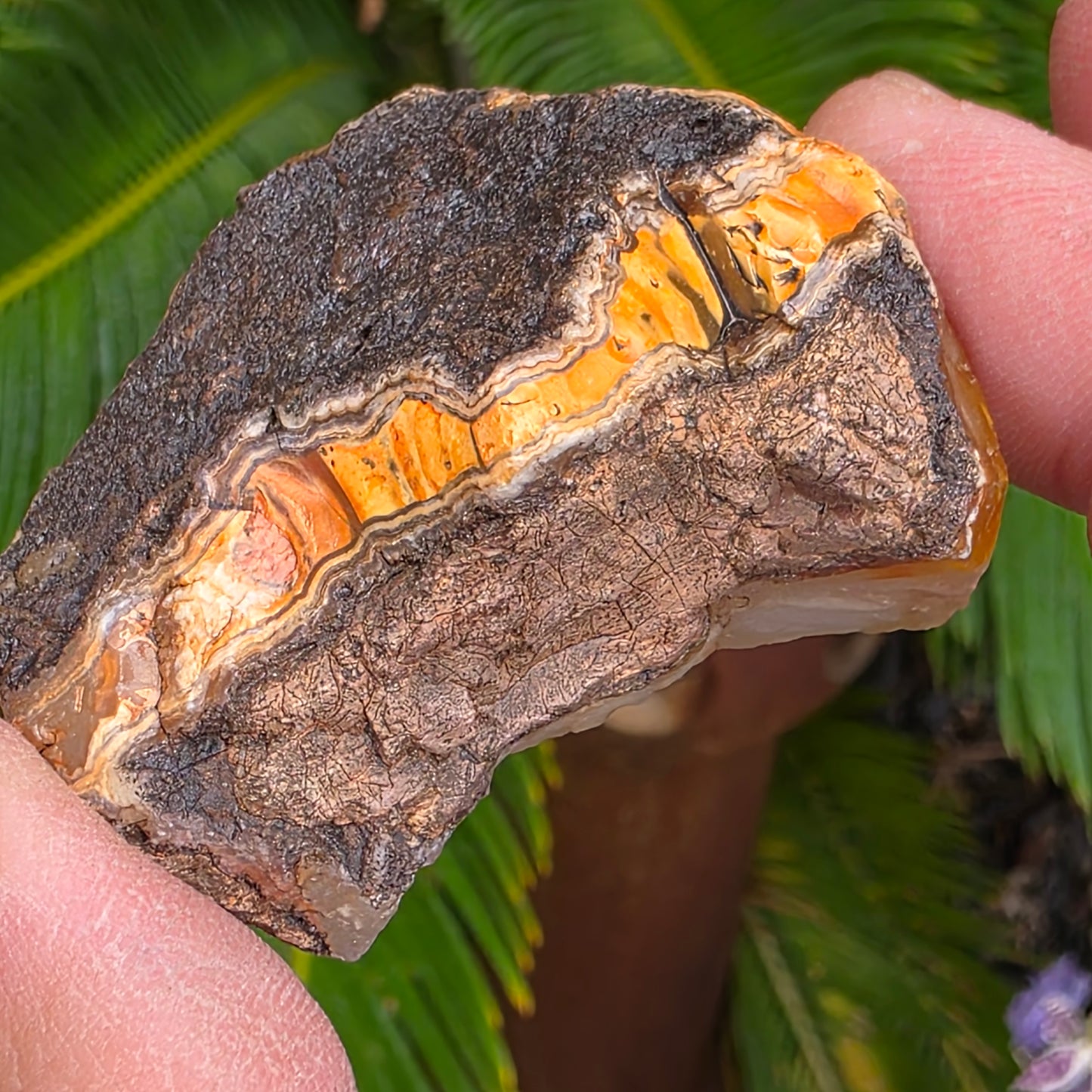California Jasper Chalcedony Agate Specimen: Natural Mule Mountains Rock (53.22 grams)