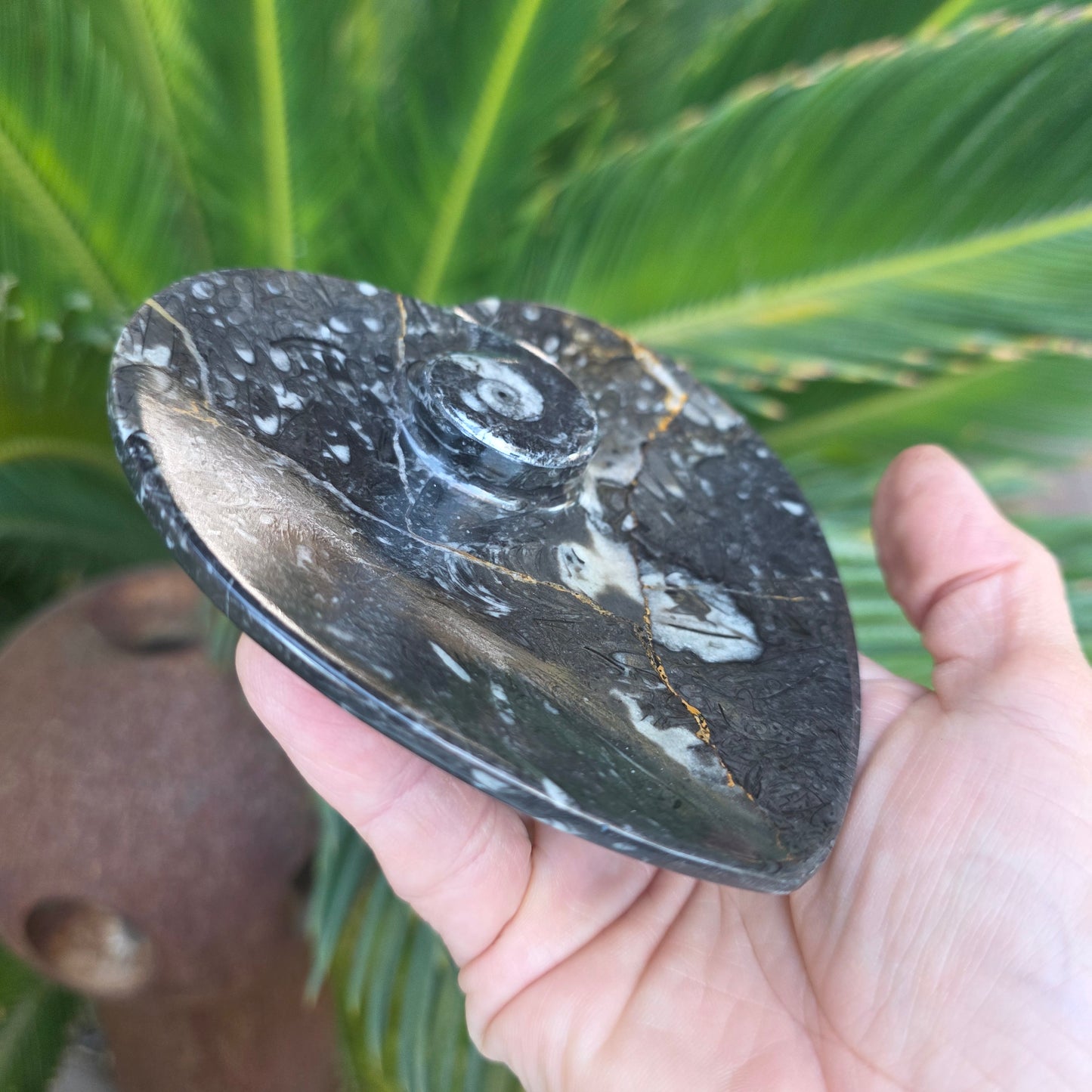 Polished Ammonite and Orthoceras Fossil Heart Shaped Dish 4 Inch Black & White Stone Bowl