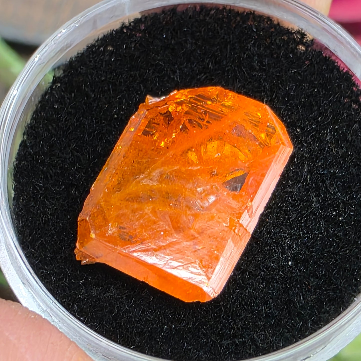 Stunning Half Inch Wulfenite Crystal | Orange Mineral | Red Cloud Mine | La Paz County | Arizona | Raw Stone
