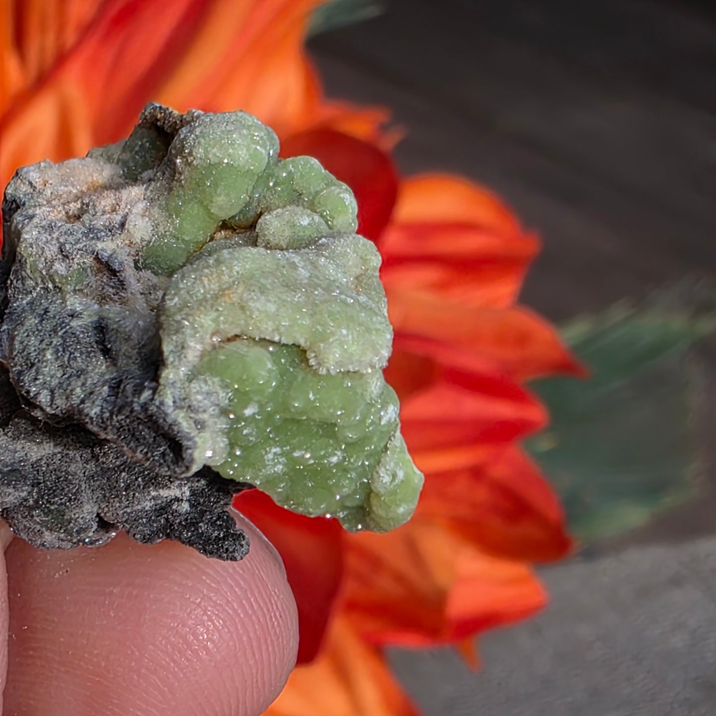 Green Wavellite Rock Specimen | Mauldin Mountain, Arkansas | Raw Stone