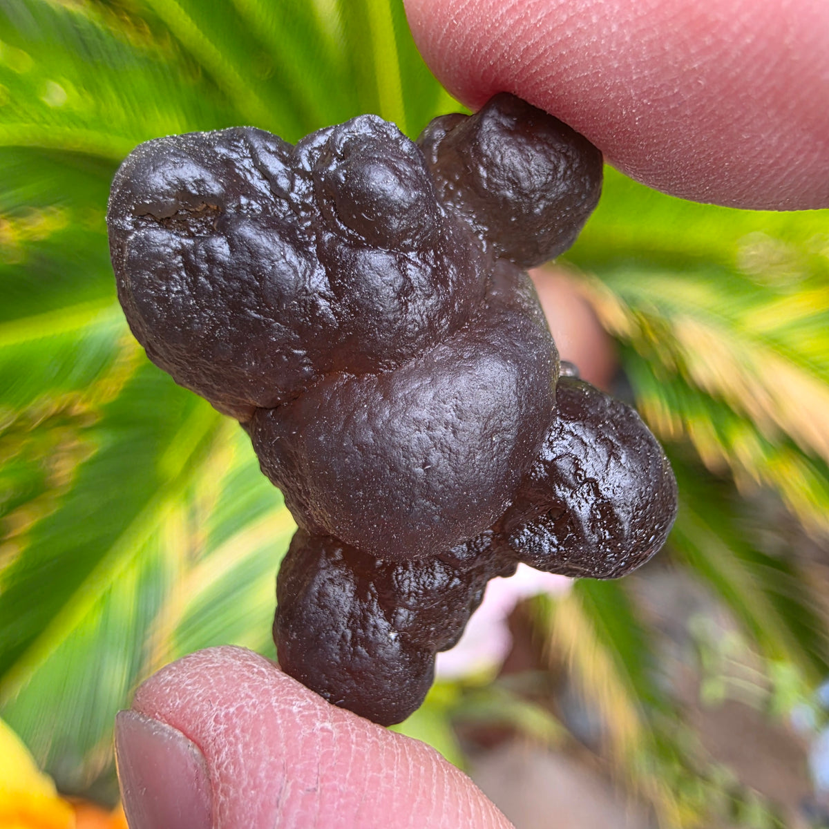 Truffle Chalcedony Rock Specimen, Raw Natural Mineral with Botryoidal Shape from Morocco
