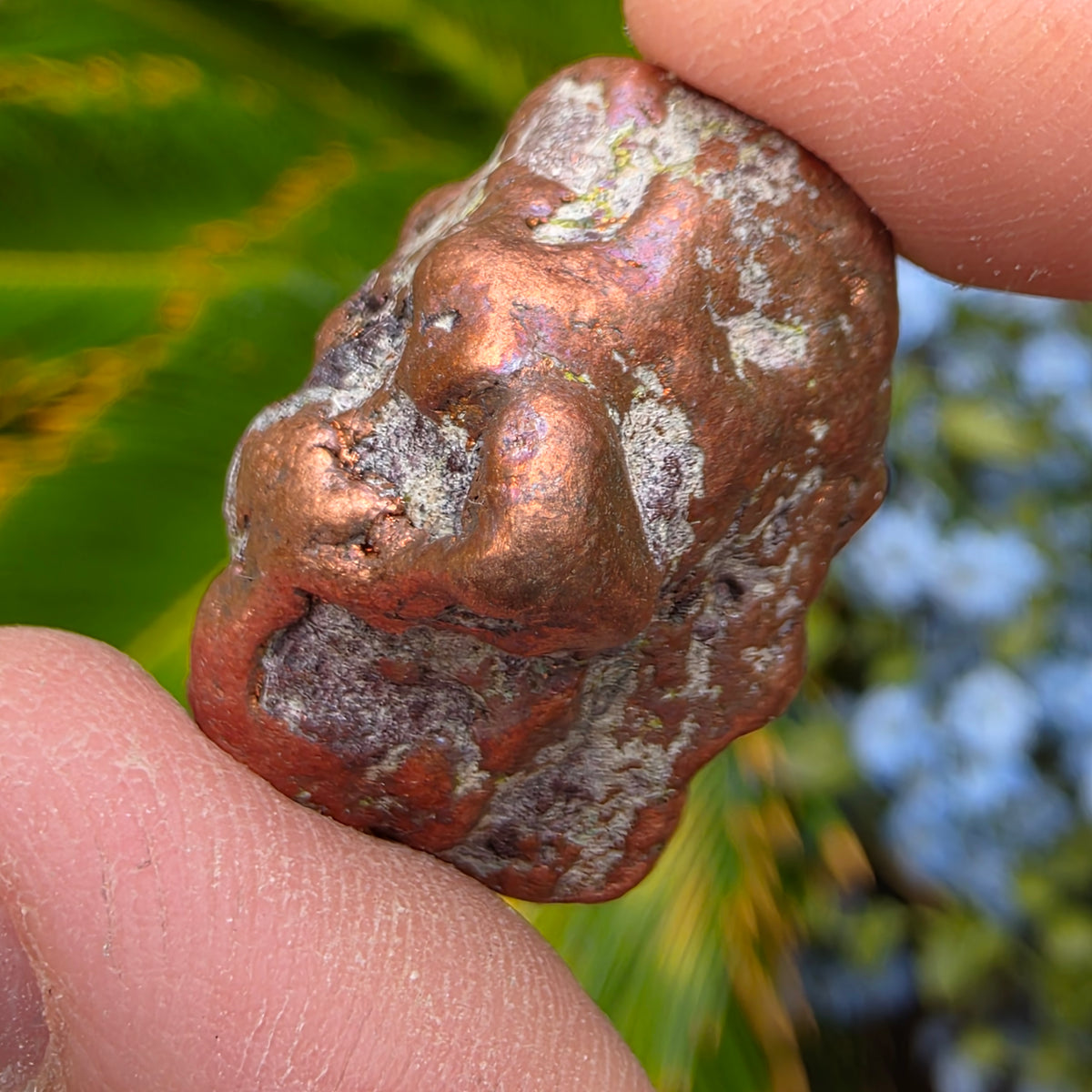 Native Michigan Copper - Rock Specimen from the Keweenaw Peninsula