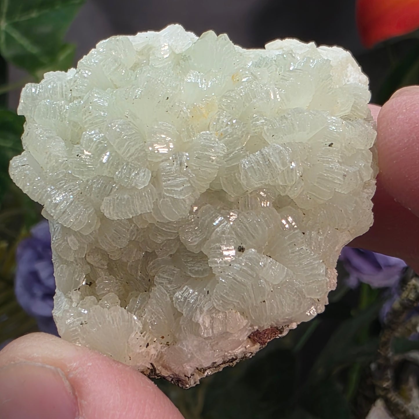 Light Green Prehnite Rock Specimen: Crystal Cluster from Morocco (37.28g)