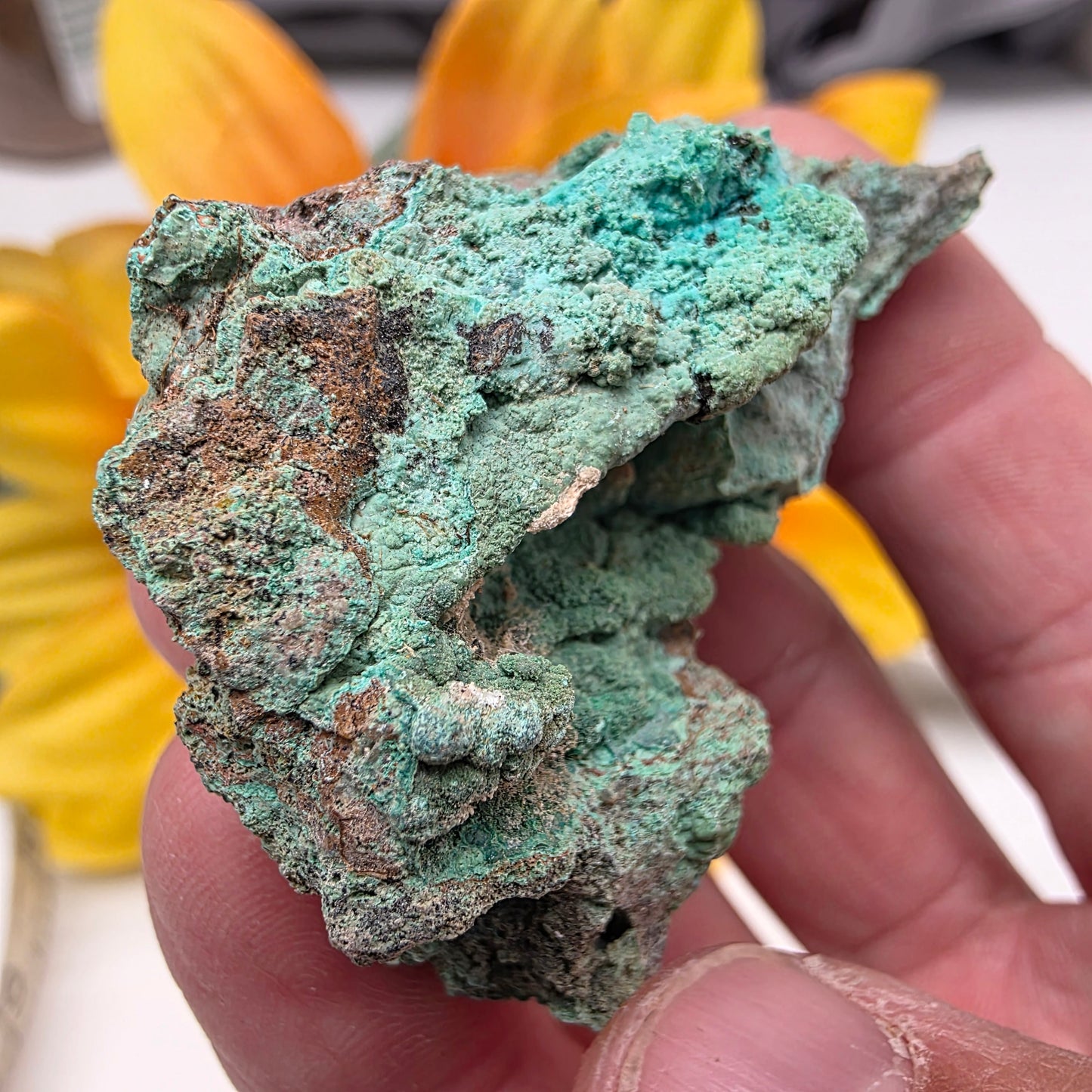 Copper Carbonate Rock Specimen | Light Green Copper Ore Mineral | Jerome, Arizona | Raw Stone