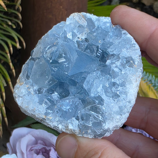 Celestite Crystal Rock Specimen |  Natural Blue Mineral | 238 g